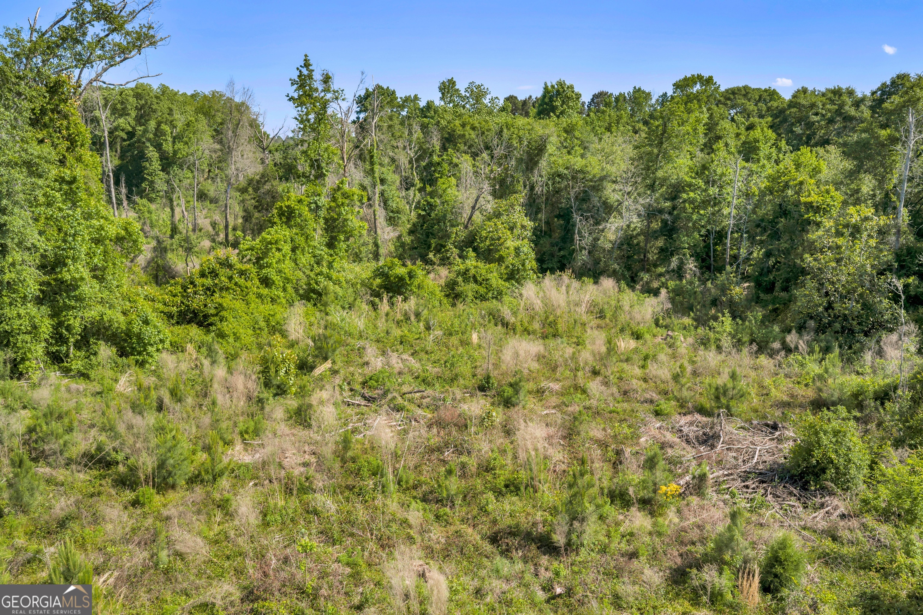 0 Us 82 Sylvester GA 31791