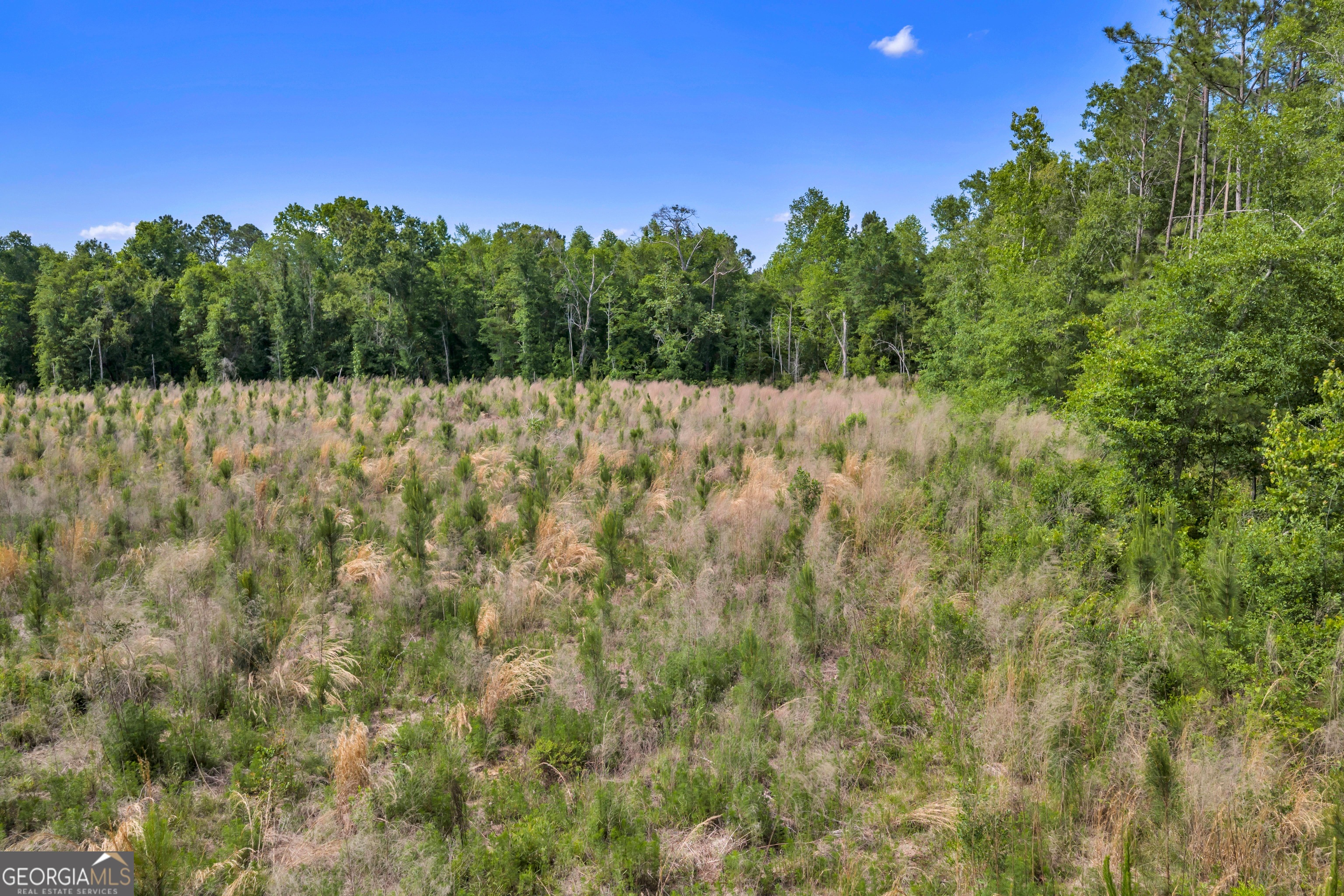 0 Us 82 Sylvester GA 31791