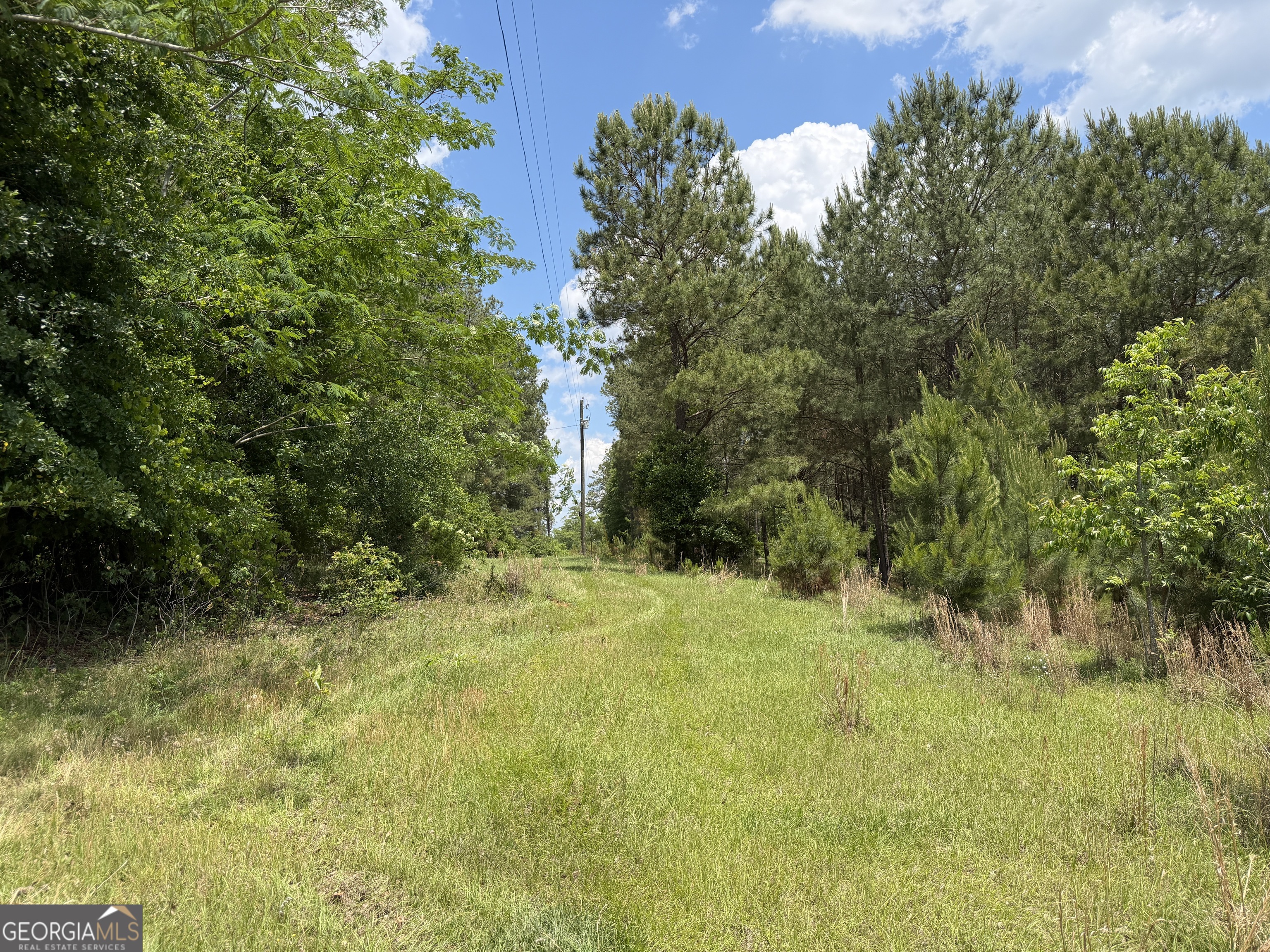 007 Long Branch Road Toomsboro GA 31090