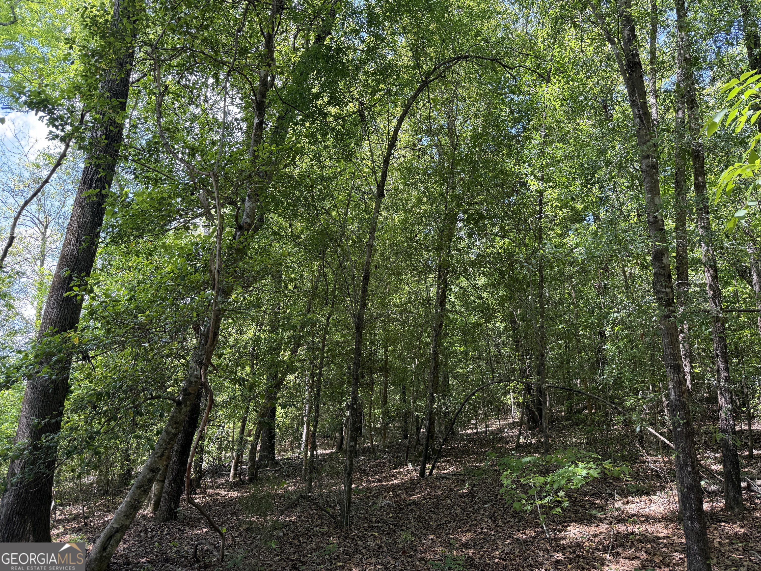 007 Long Branch Road Toomsboro GA 31090