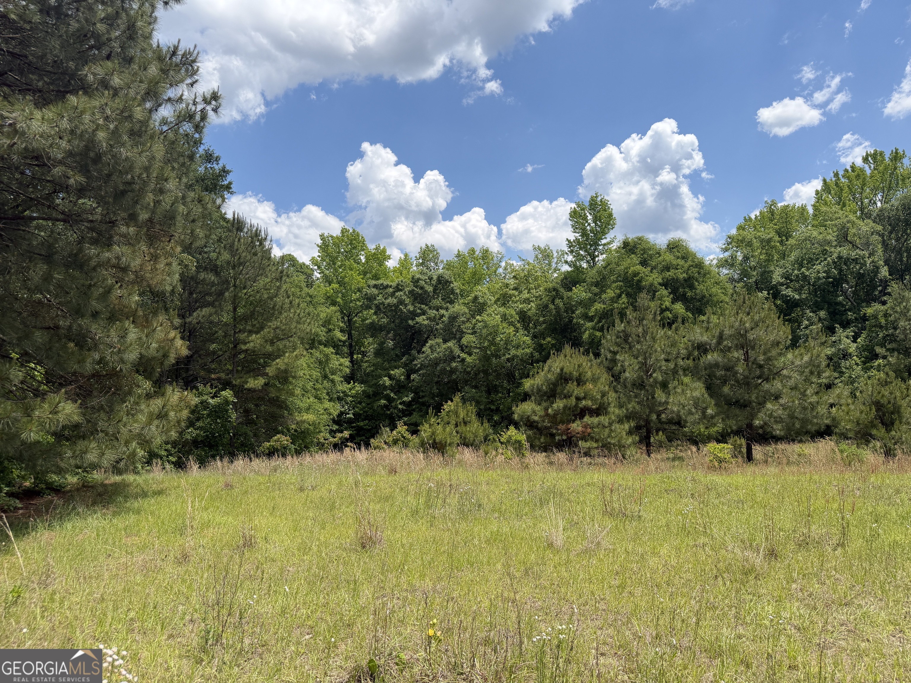 007 Long Branch Road Toomsboro GA 31090