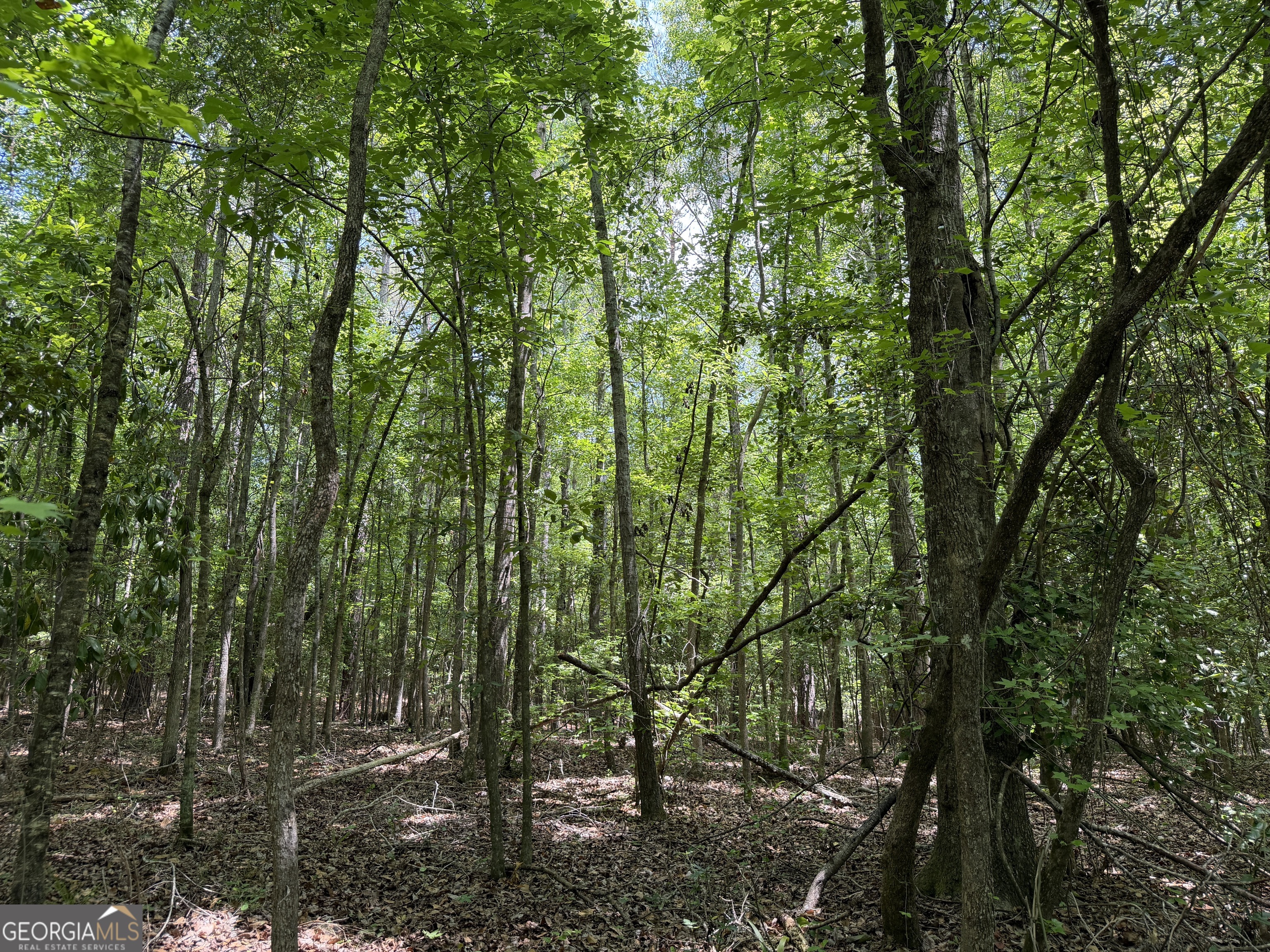 007 Long Branch Road Toomsboro GA 31090