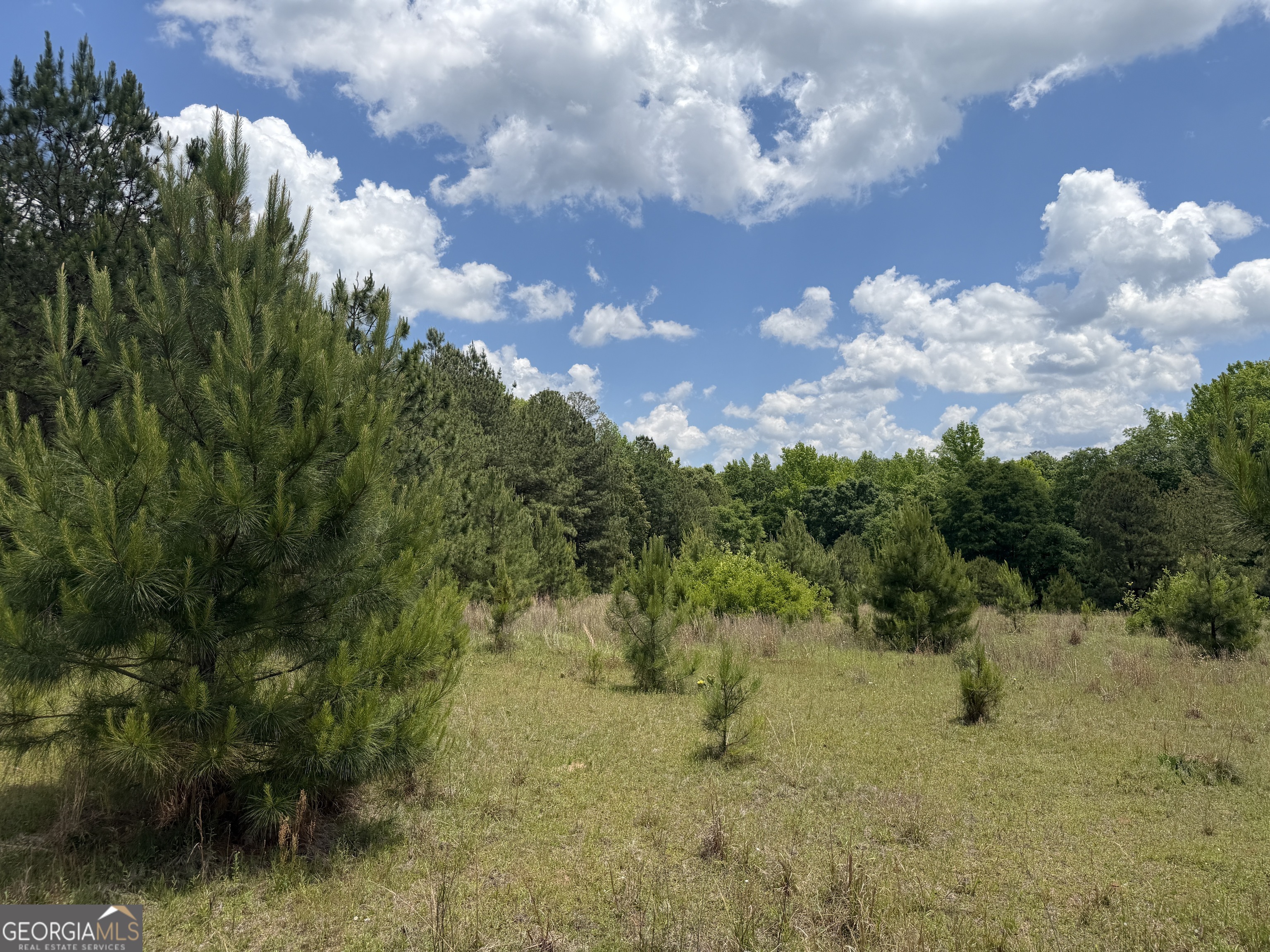 007 Long Branch Road Toomsboro GA 31090