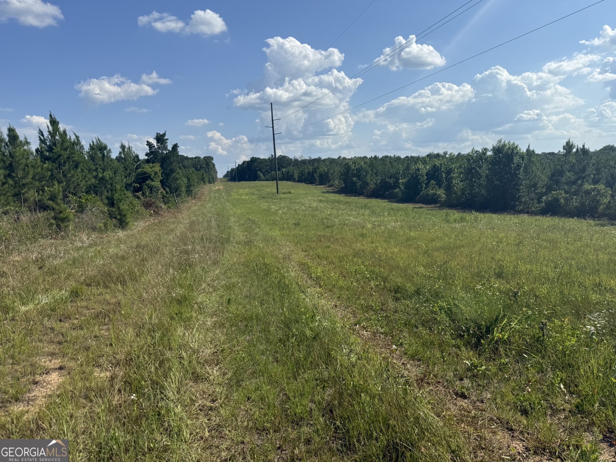 009 George Milling Road Cuthbert GA 39840