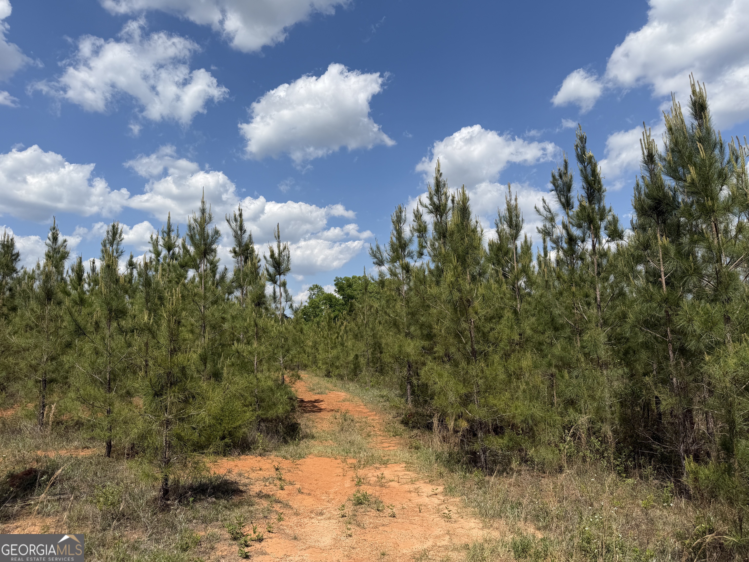 009 George Milling Road Cuthbert GA 39840