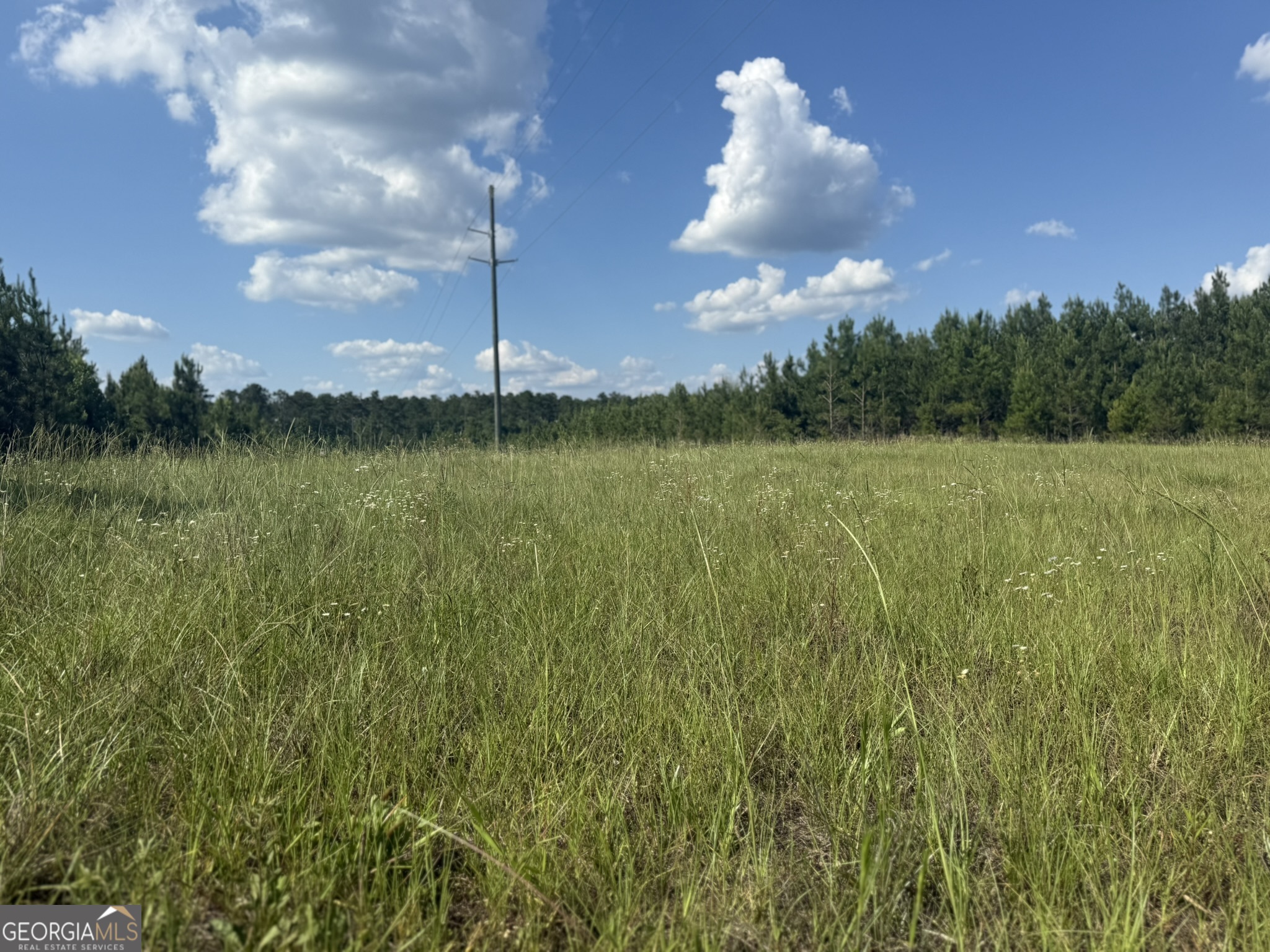 009 George Milling Road Cuthbert GA 39840