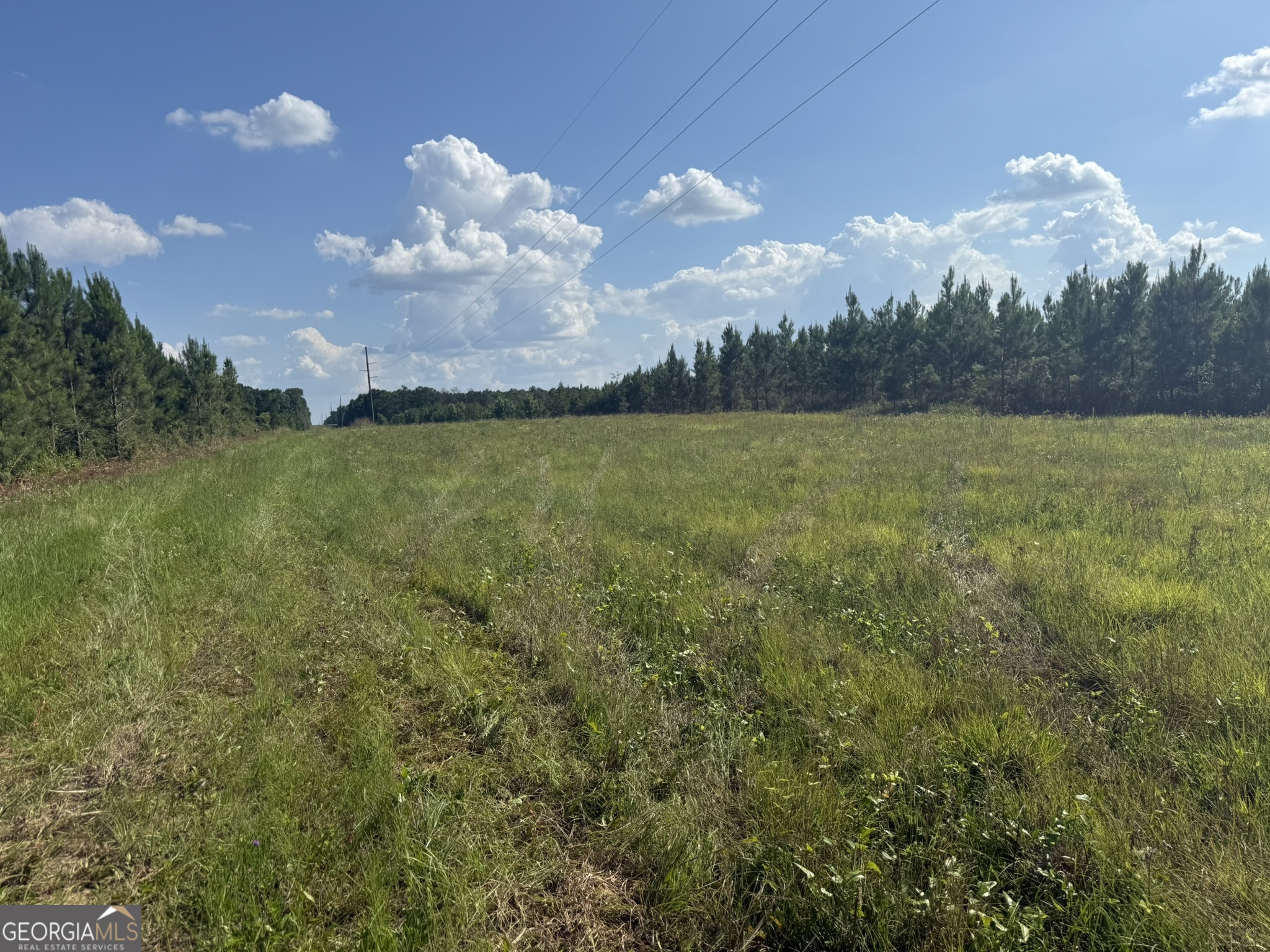009 George Milling Road Cuthbert GA 39840