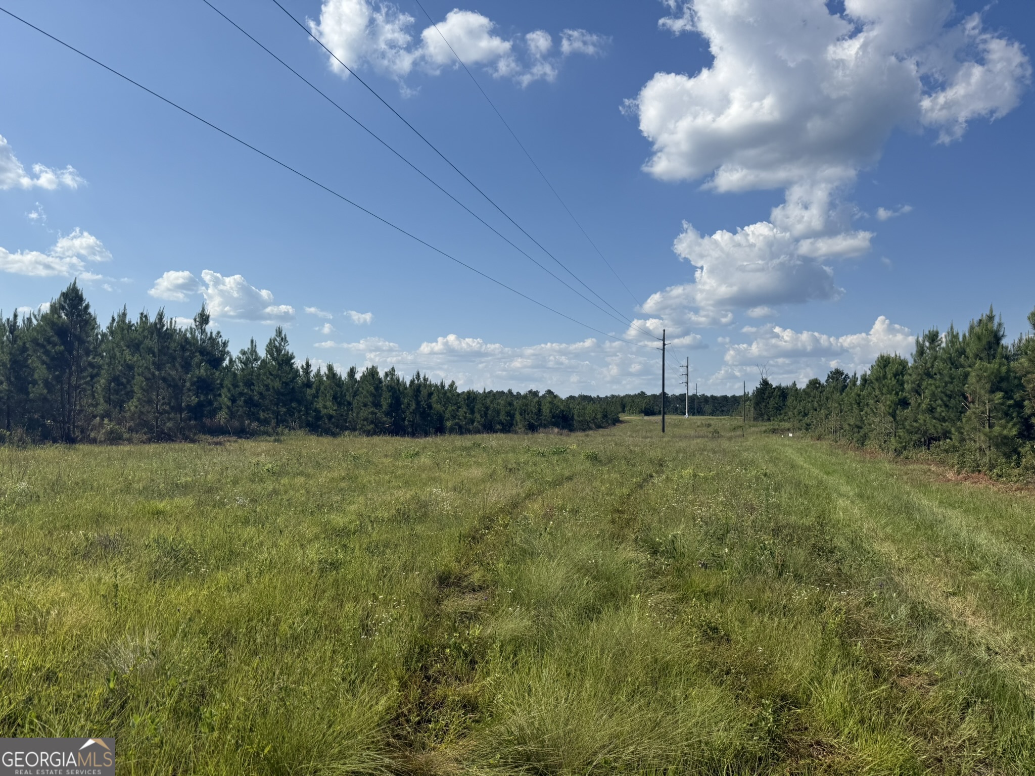 009 George Milling Road Cuthbert GA 39840
