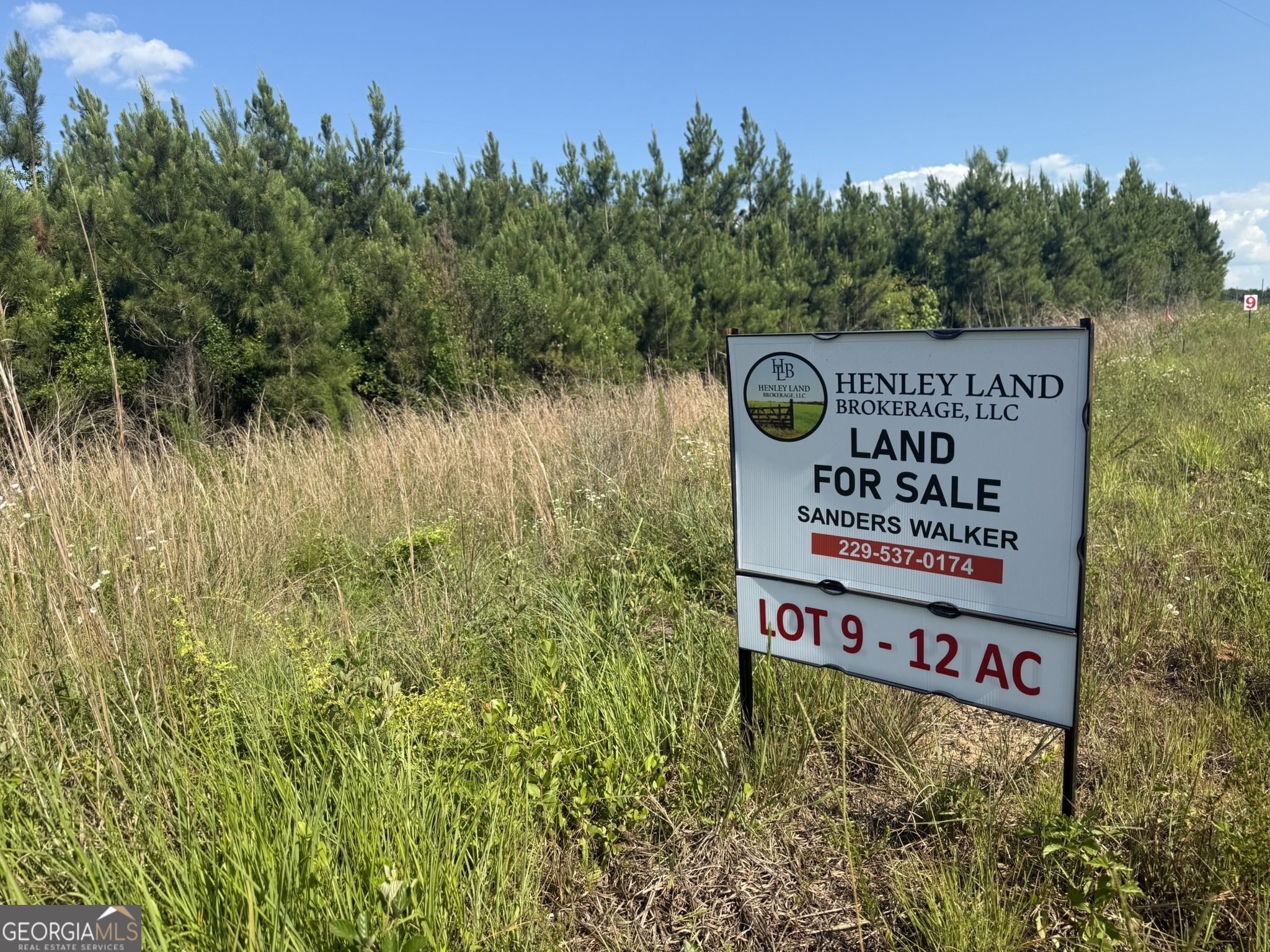 009 George Milling Road Cuthbert GA 39840