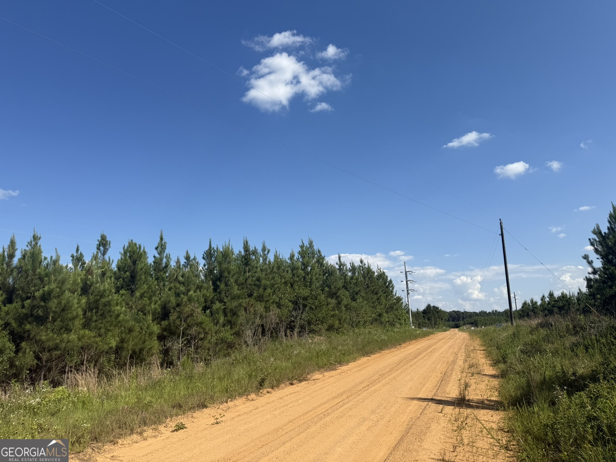 009 George Milling Road Cuthbert GA 39840