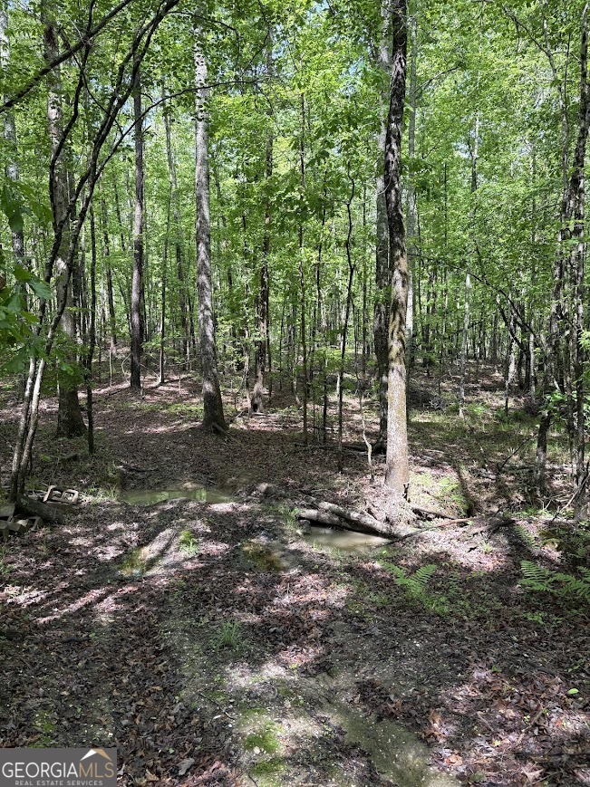 0 Roy Dean Road Buchanan GA 30113
