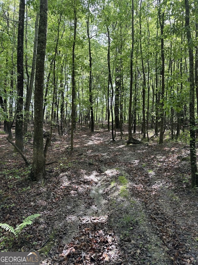 0 Roy Dean Road Buchanan GA 30113