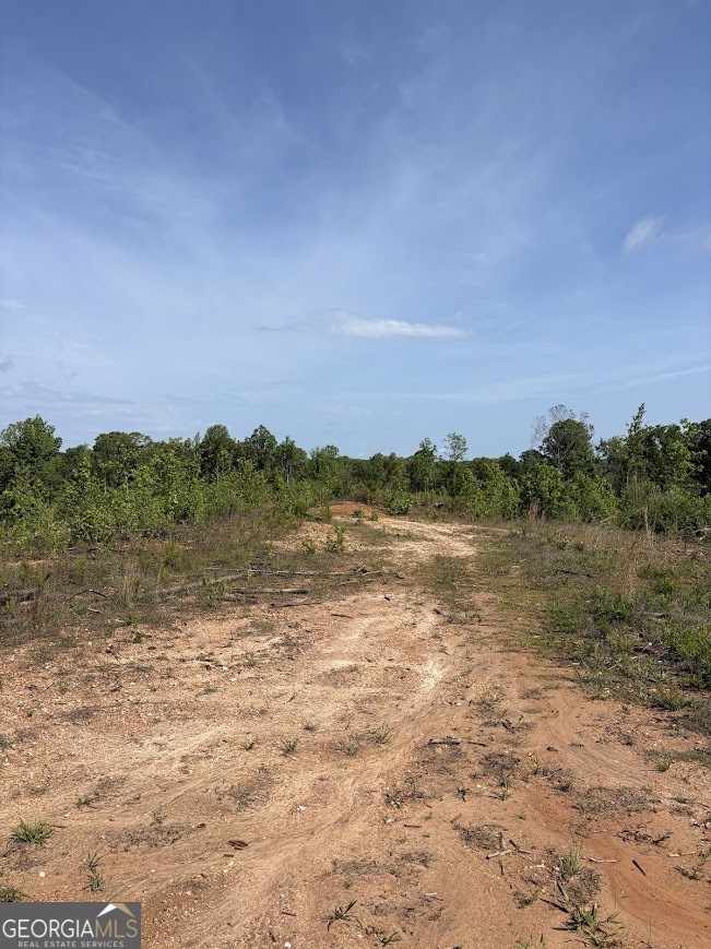 0 Roy Dean Road Buchanan GA 30113