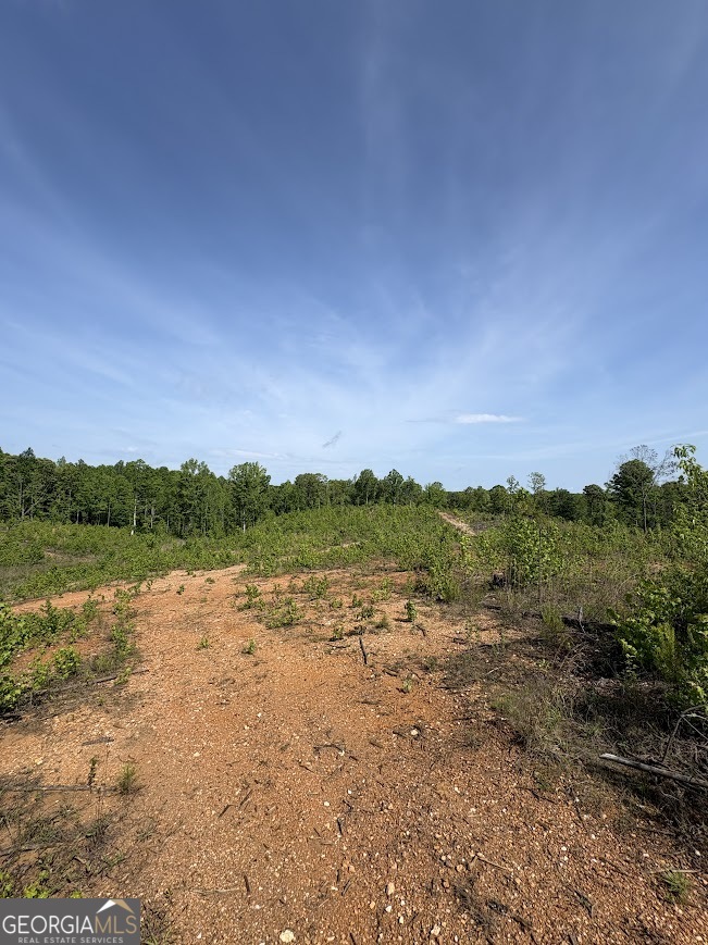 0 Roy Dean Road Buchanan GA 30113