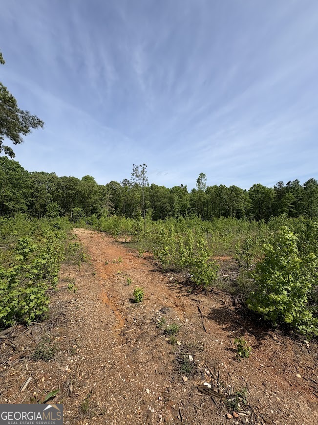 0 Roy Dean Road Buchanan GA 30113