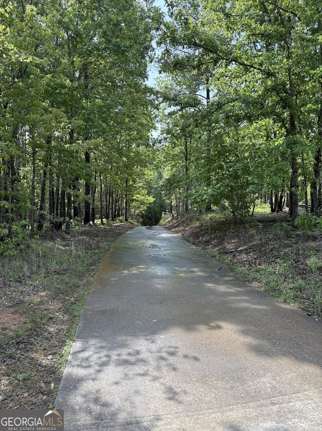 0 Roy Dean Road Buchanan GA 30113