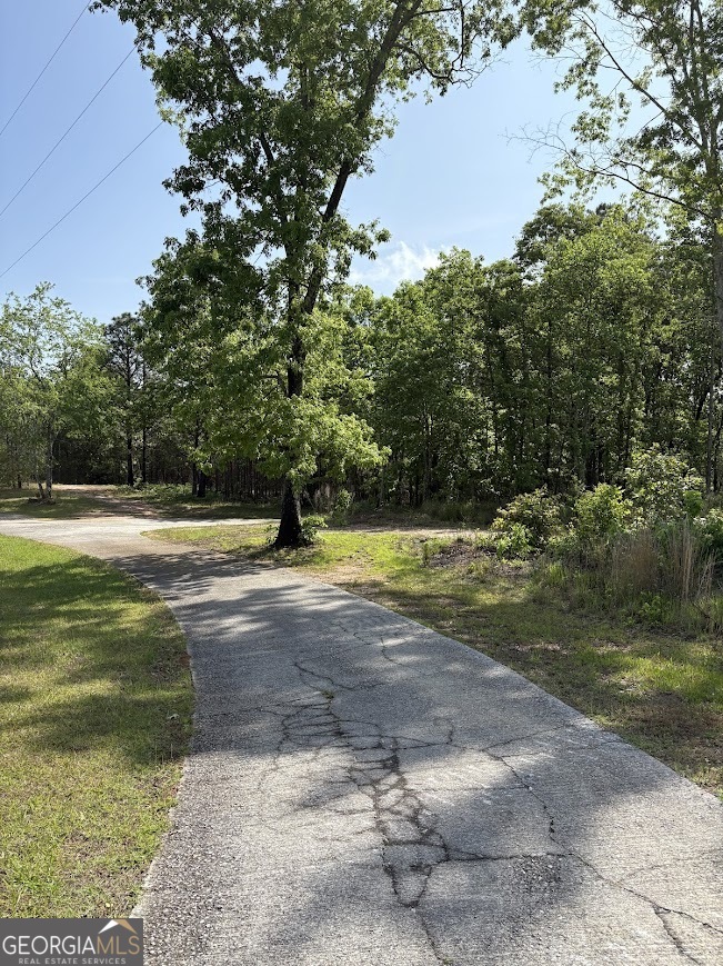 0 Roy Dean Road Buchanan GA 30113