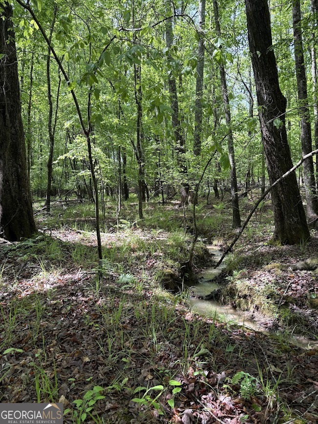 0 Roy Dean Road Buchanan GA 30113