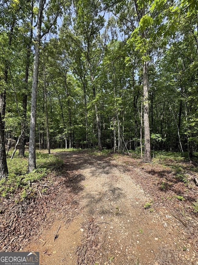 0 Roy Dean Road Buchanan GA 30113