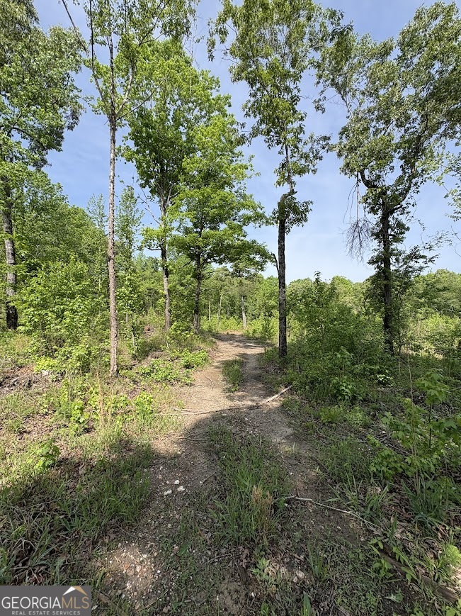 0 Roy Dean Road Buchanan GA 30113