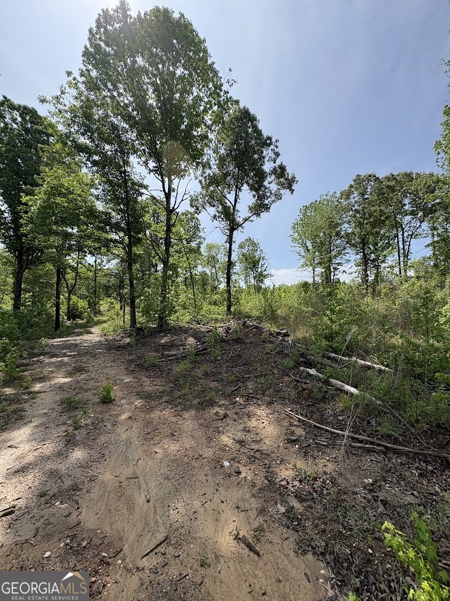 0 Roy Dean Road Buchanan GA 30113