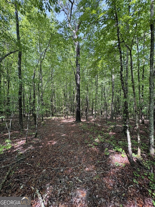 0 Roy Dean Road Buchanan GA 30113