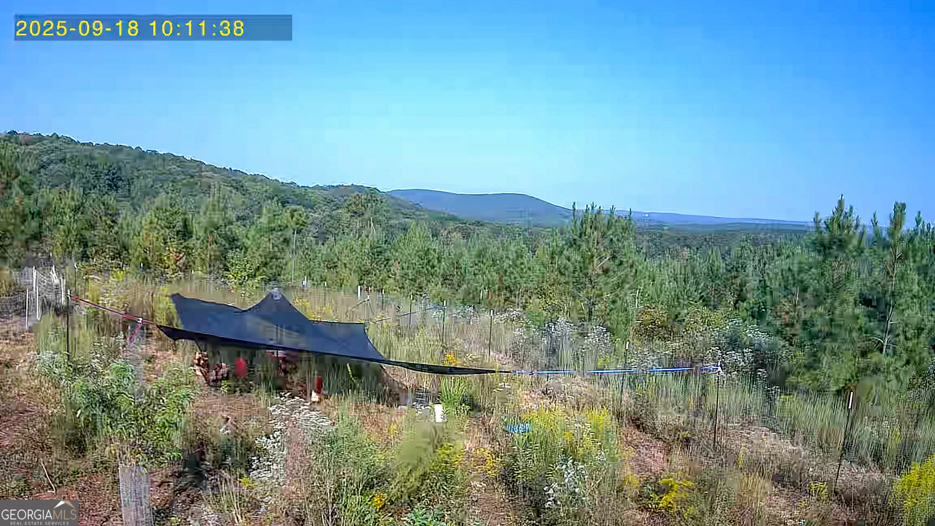 723 Brown Creek Road Shiloh GA 31826