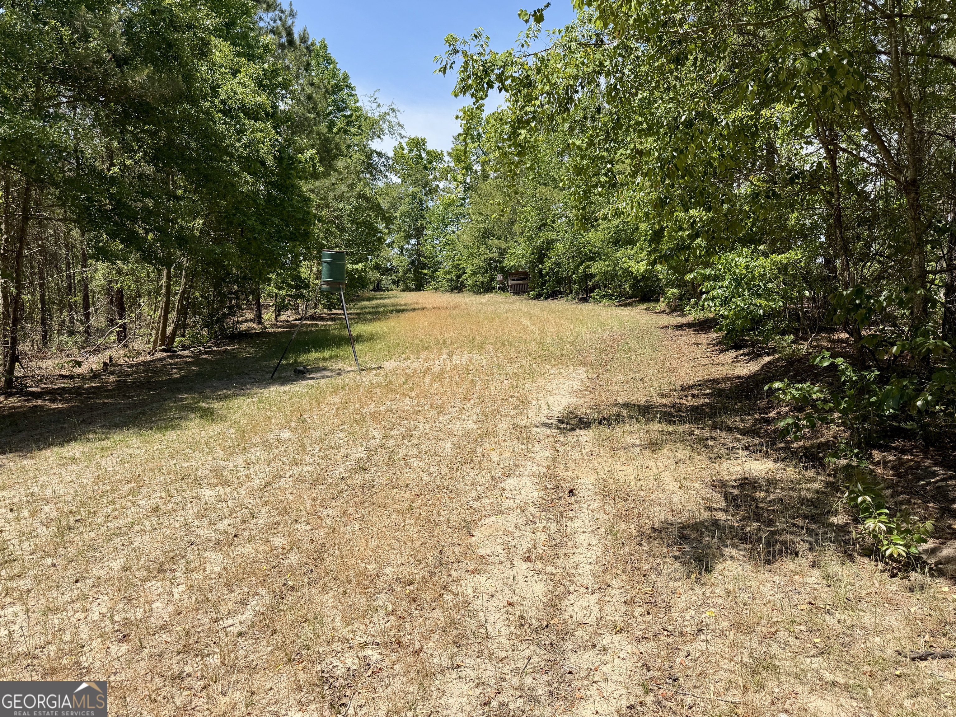 0 Jerry Farmer Road Eastman GA 31023