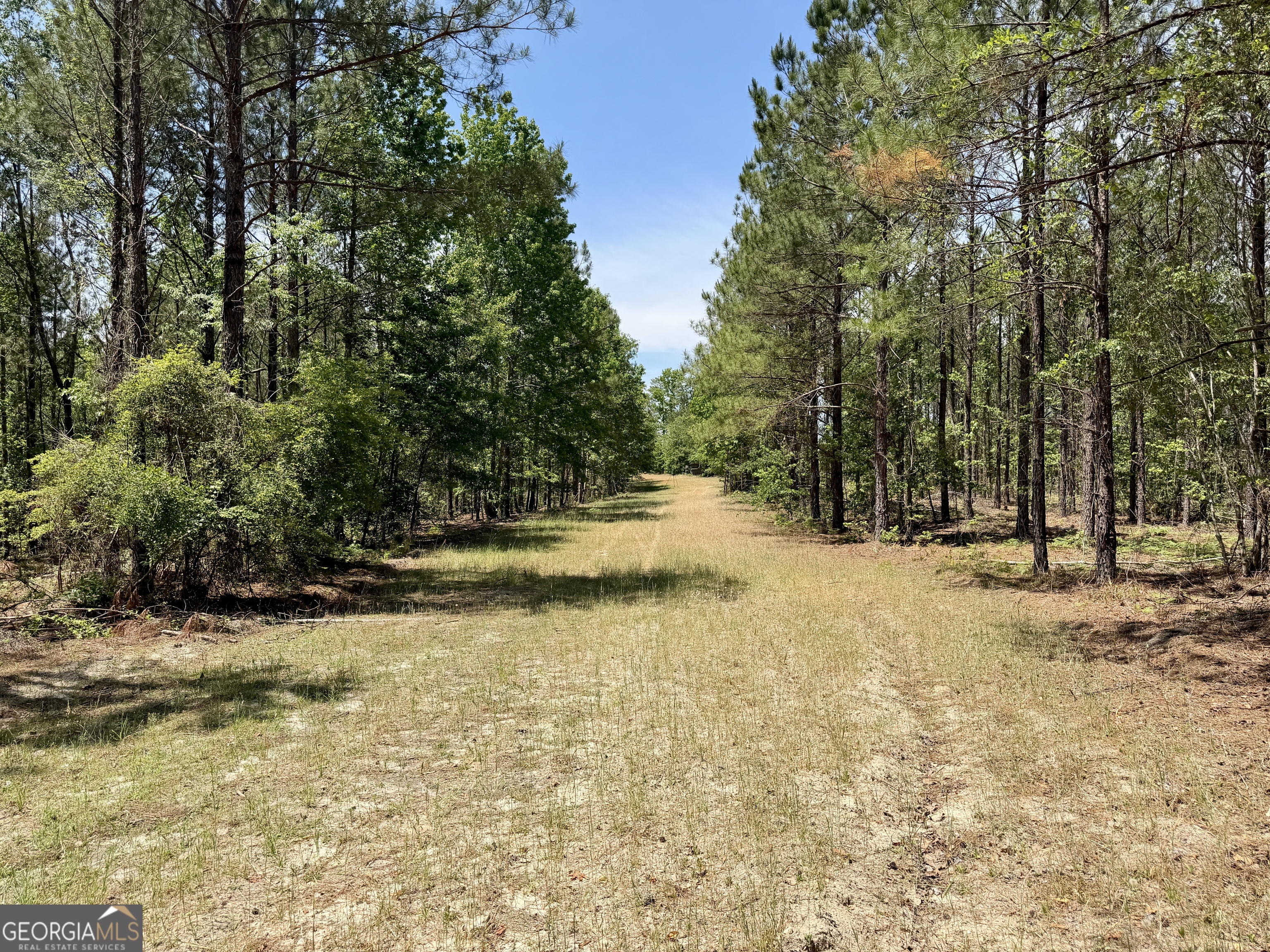0 Jerry Farmer Road Eastman GA 31023