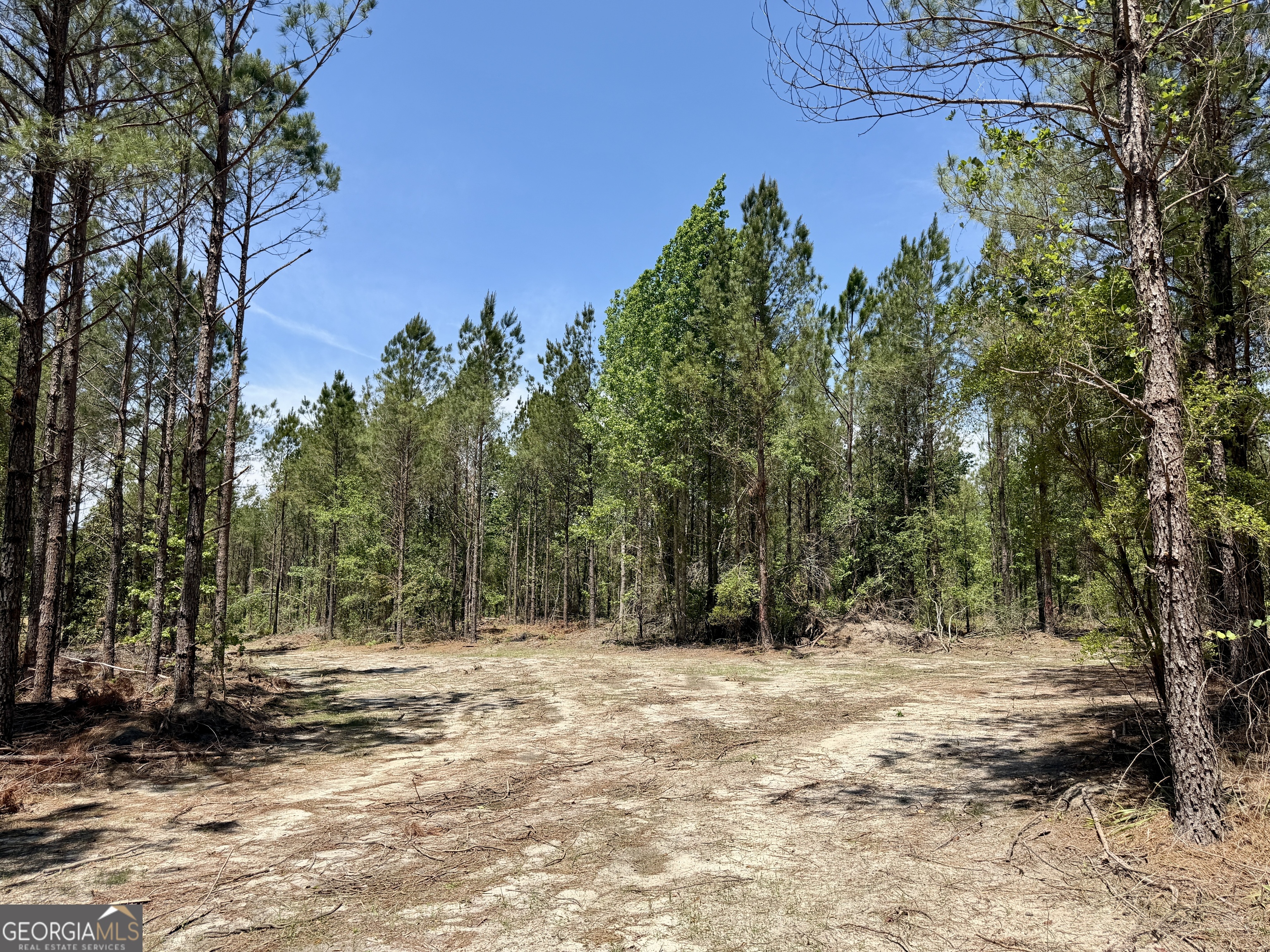 0 Jerry Farmer Road Eastman GA 31023