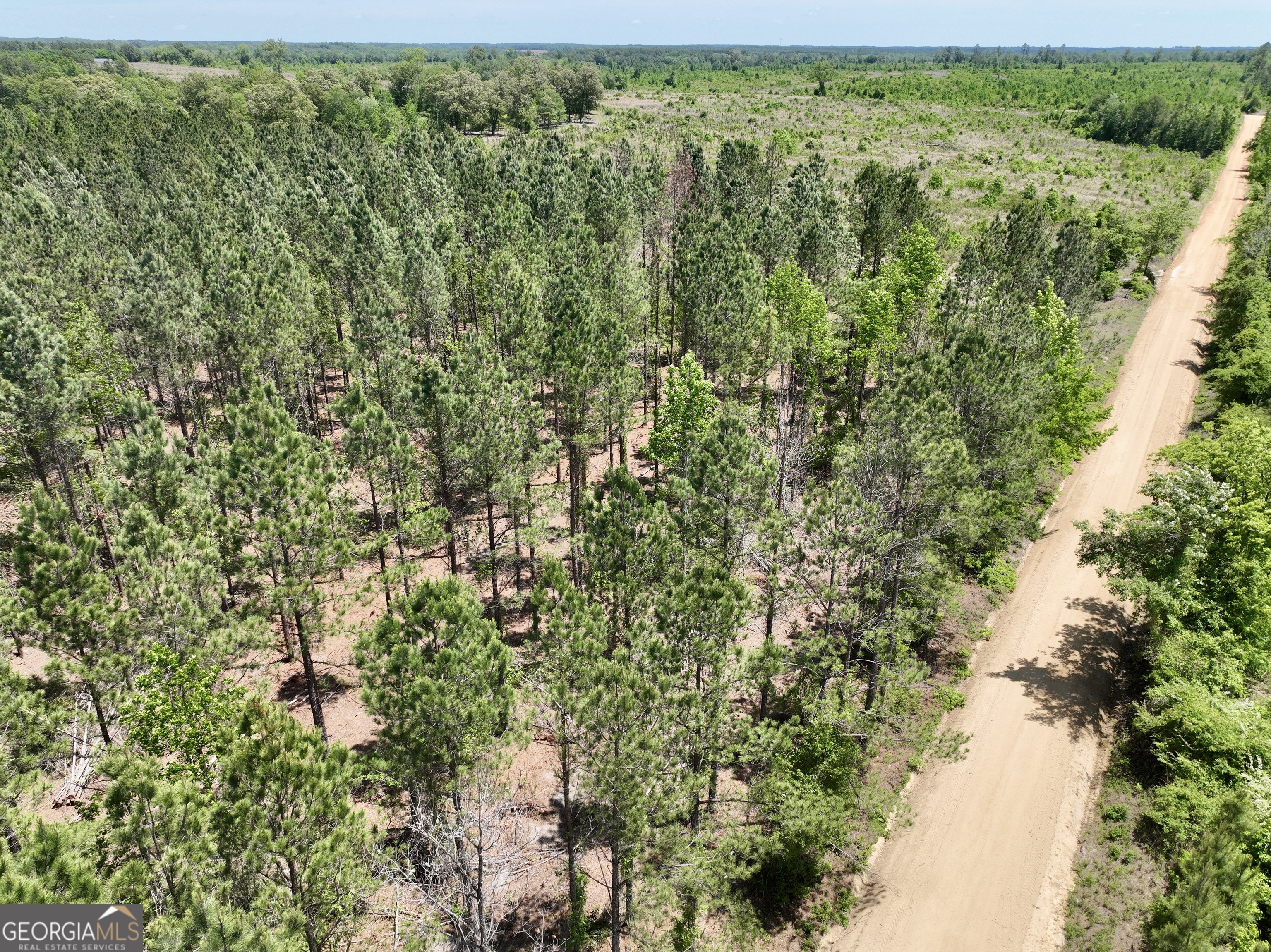 0 Jerry Farmer Road Eastman GA 31023