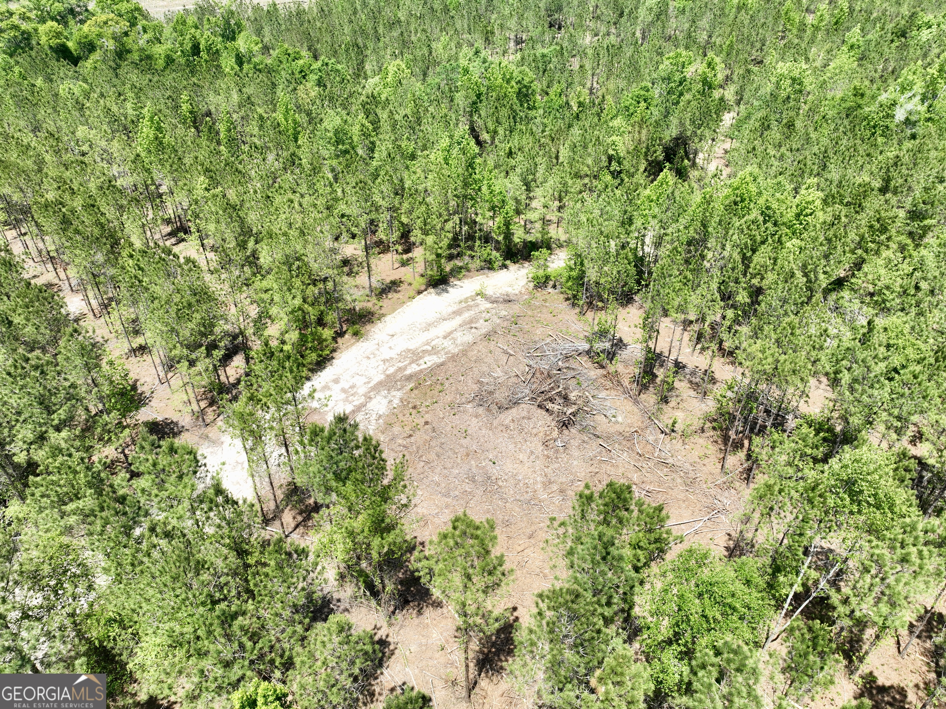 0 Jerry Farmer Road Eastman GA 31023