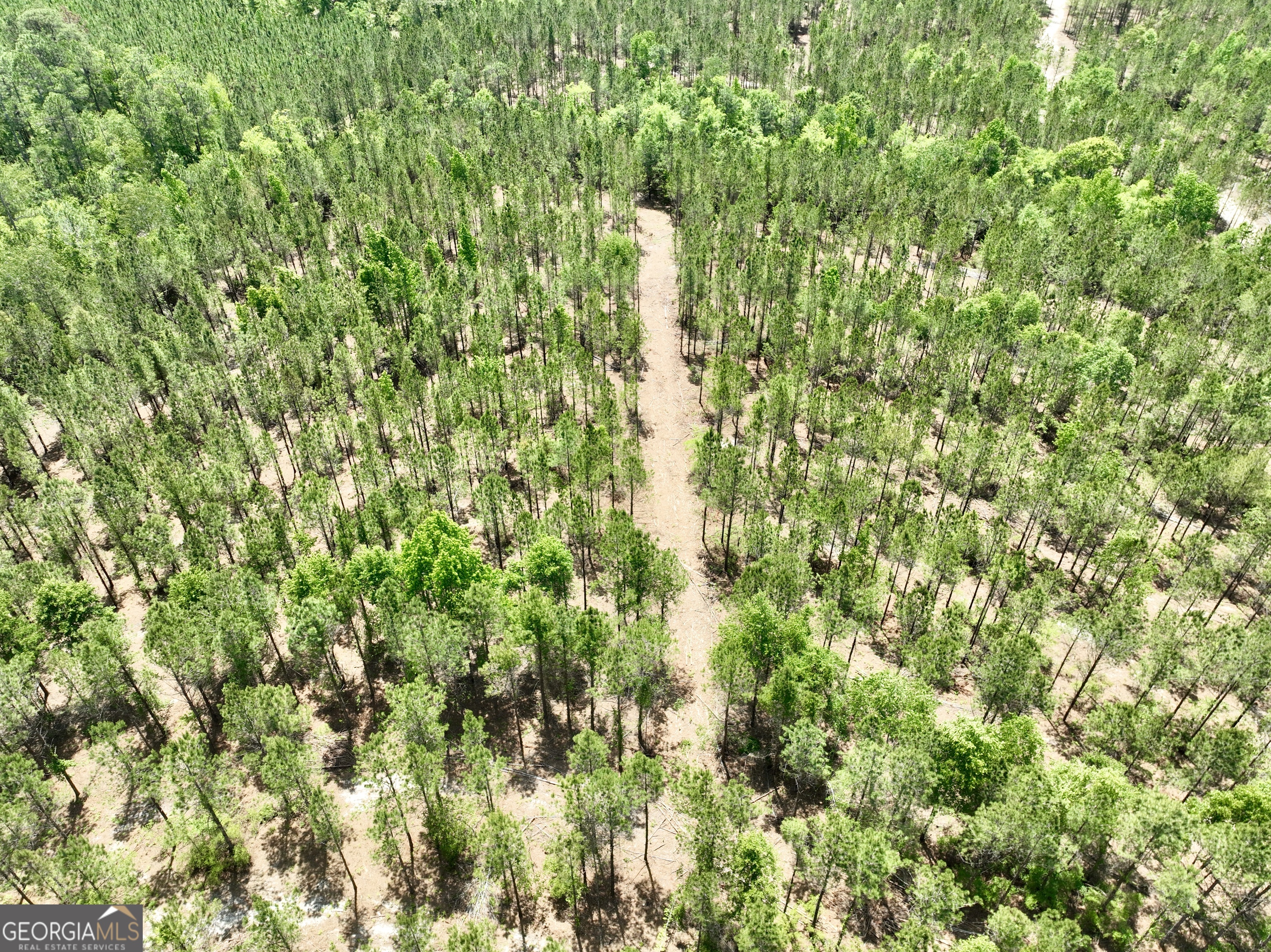 0 Jerry Farmer Road Eastman GA 31023