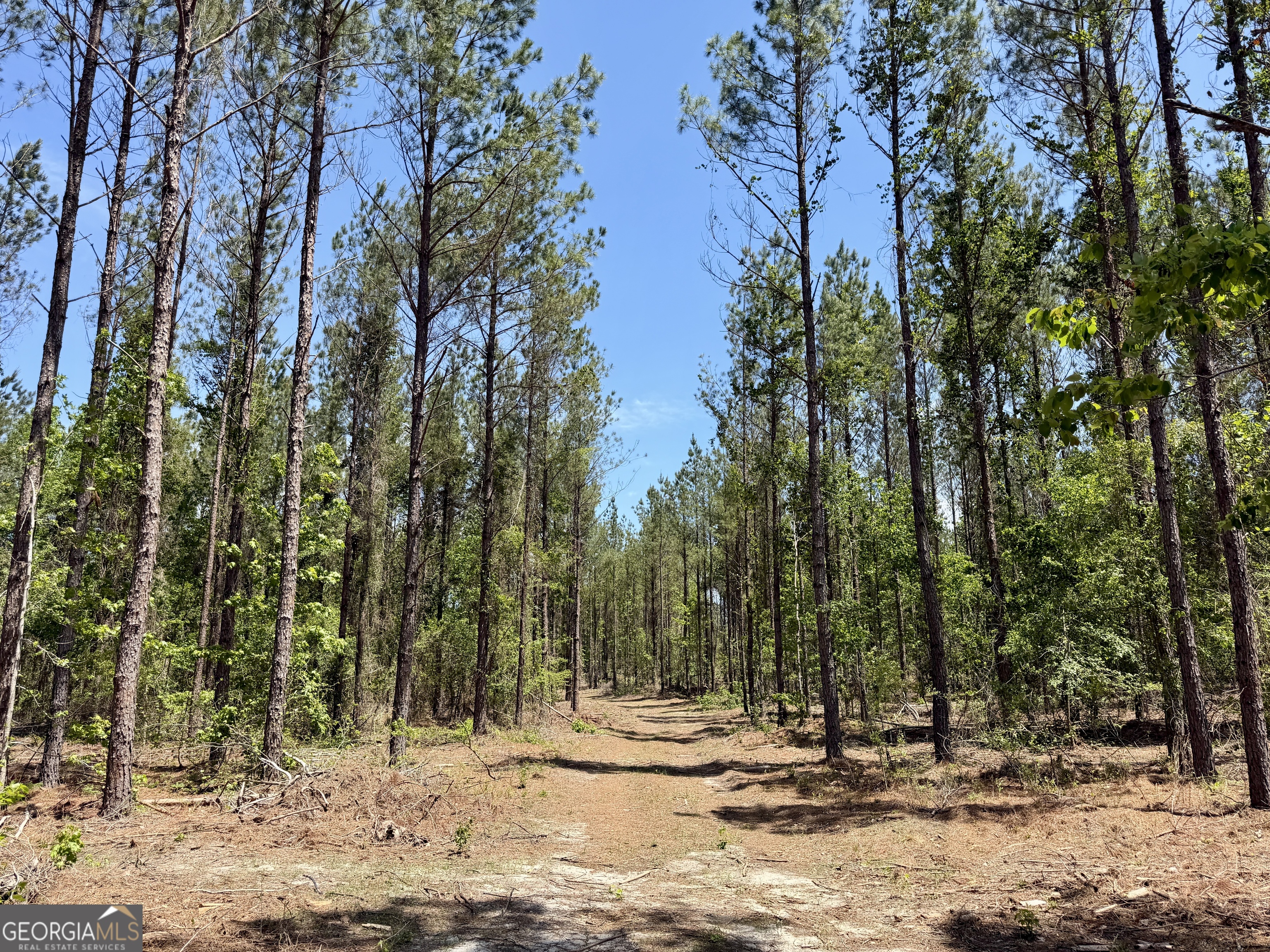 0 Jerry Farmer Road Eastman GA 31023