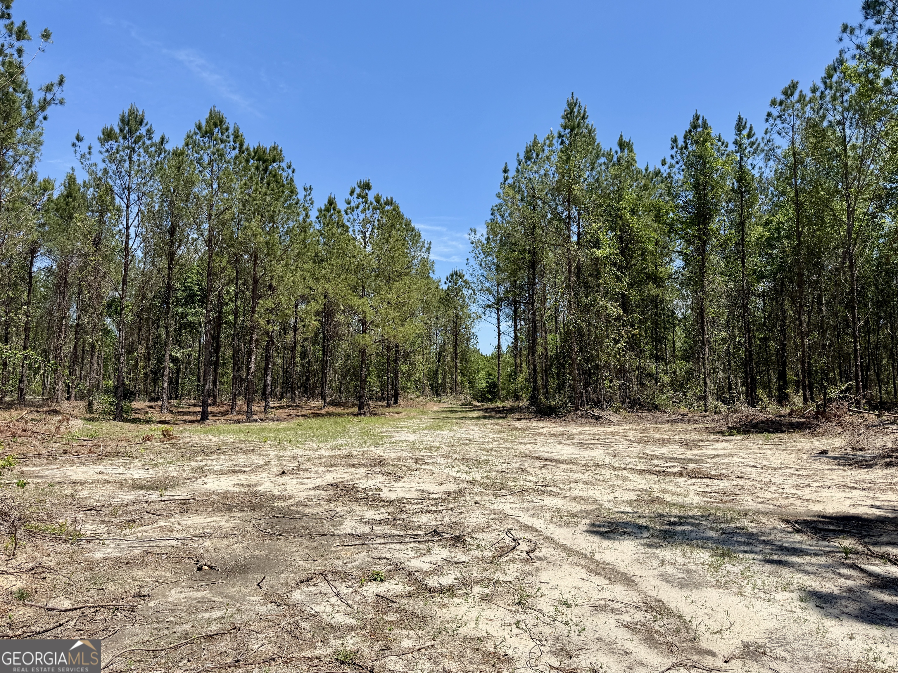 0 Jerry Farmer Road Eastman GA 31023