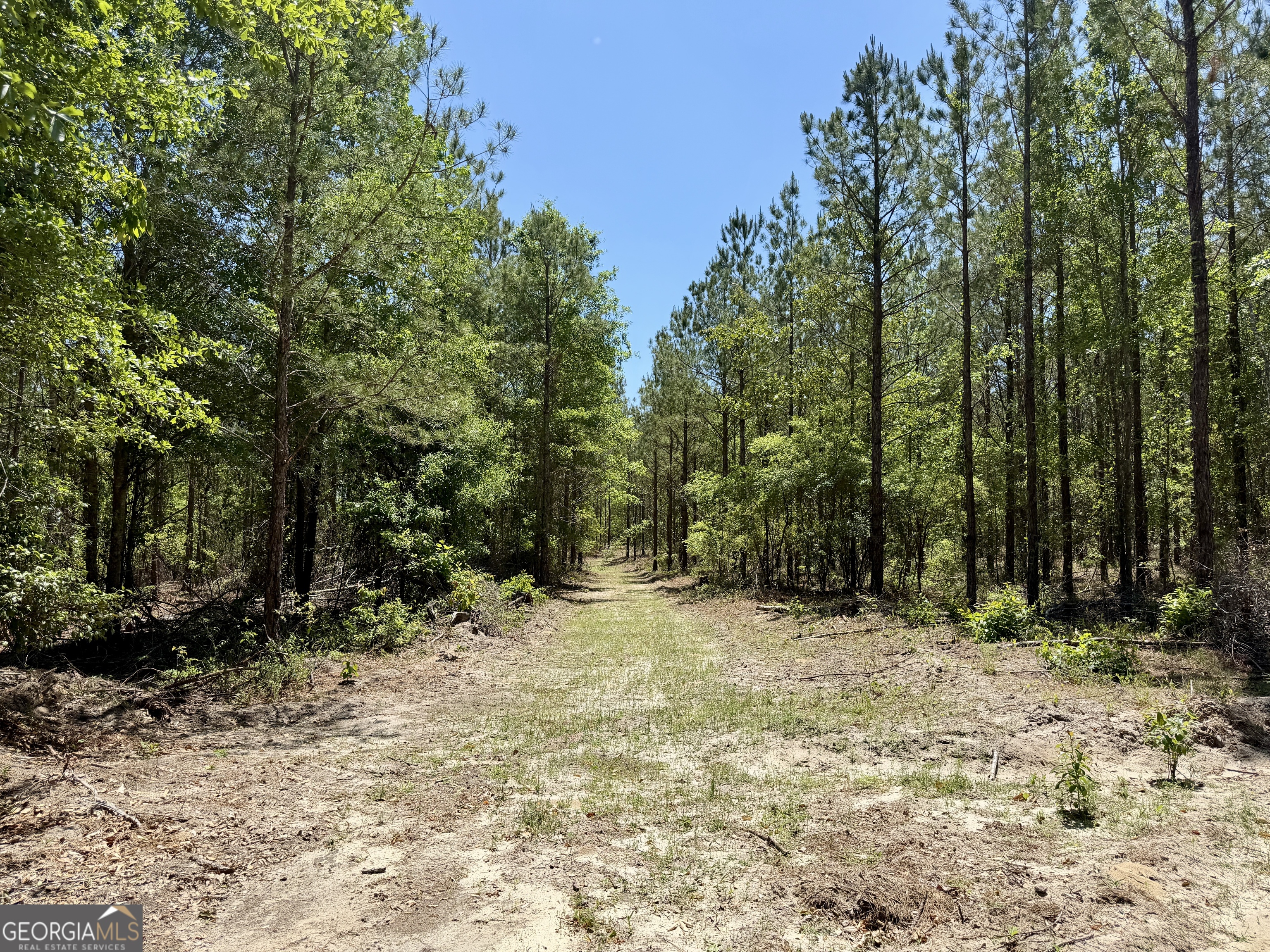 0 Jerry Farmer Road Eastman GA 31023