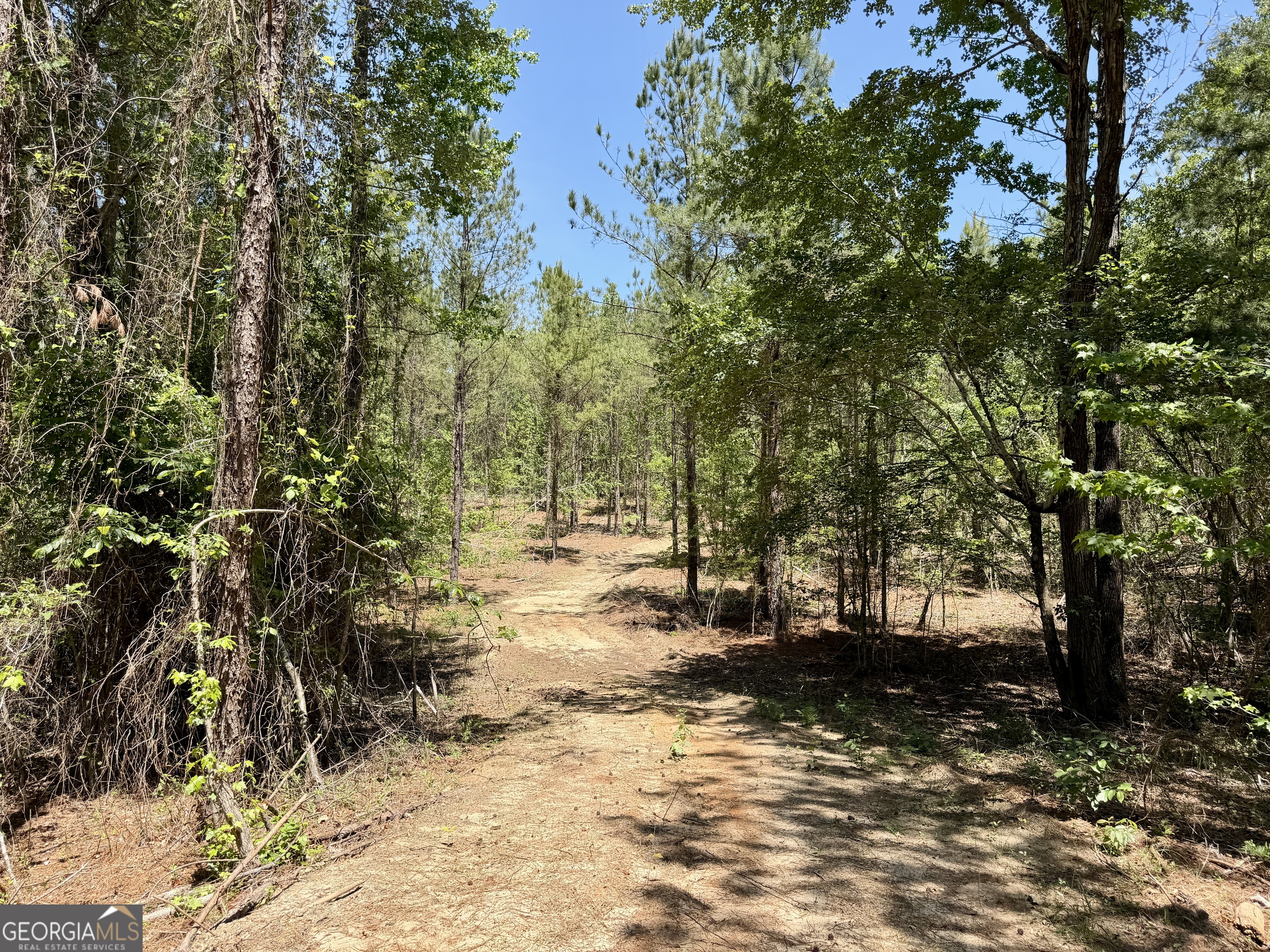 0 Jerry Farmer Road Eastman GA 31023