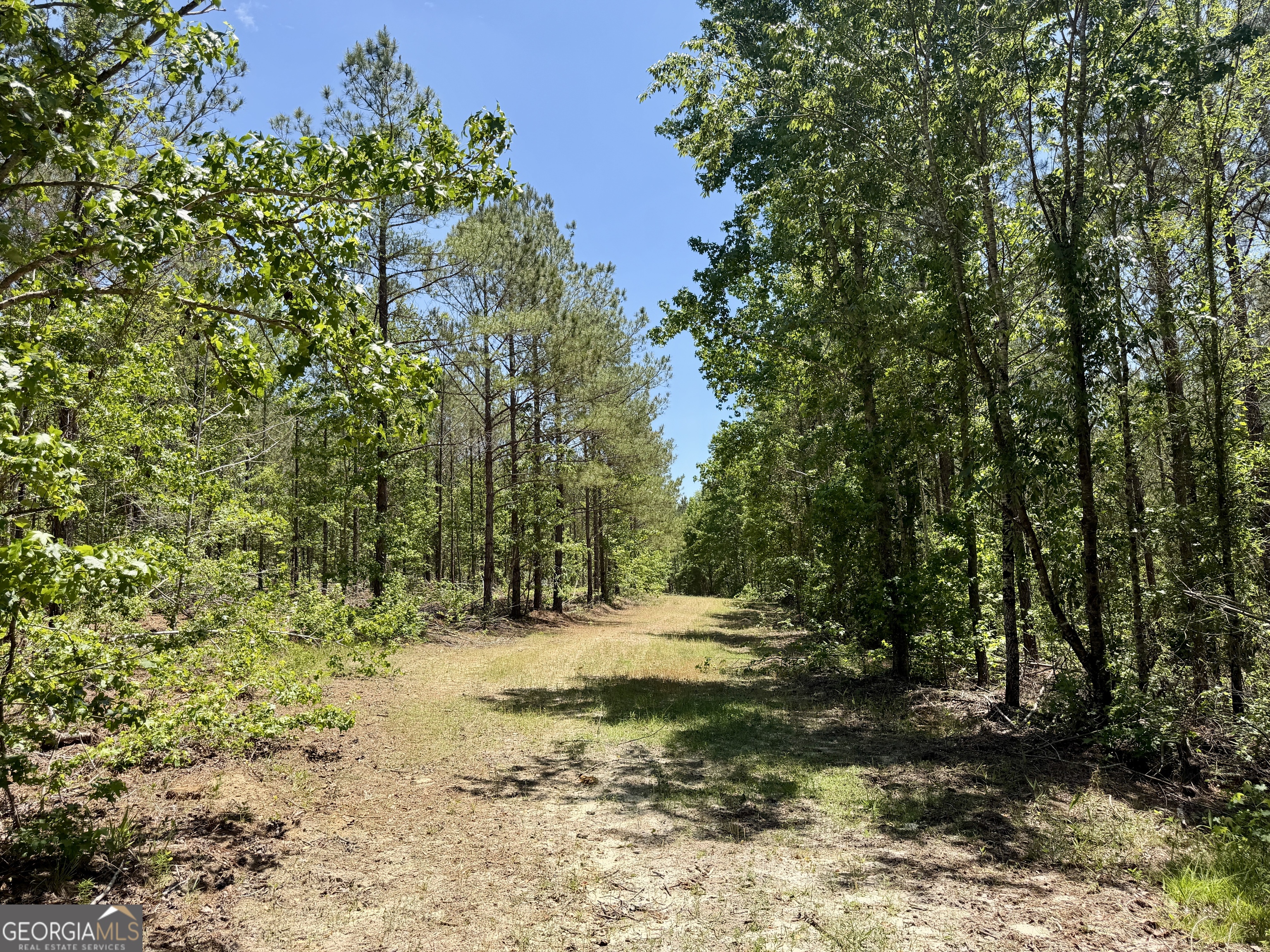 0 Jerry Farmer Road Eastman GA 31023