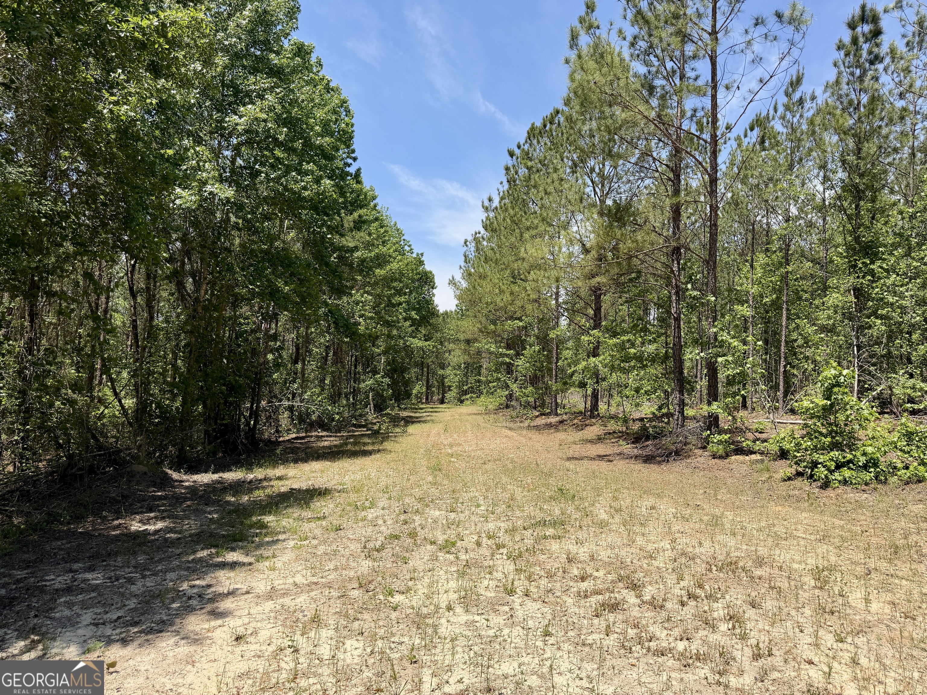 0 Jerry Farmer Road Eastman GA 31023