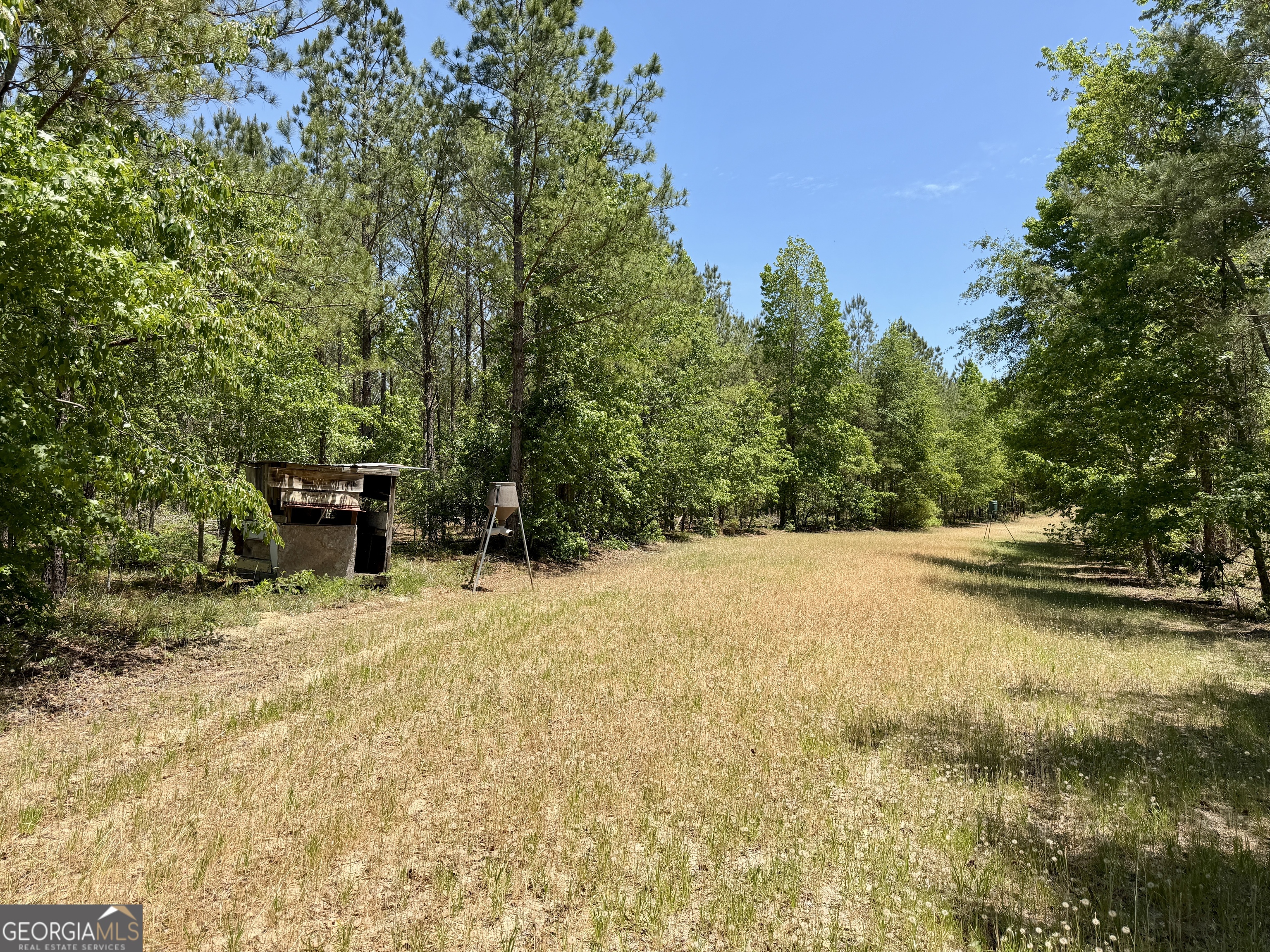 0 Jerry Farmer Road Eastman GA 31023