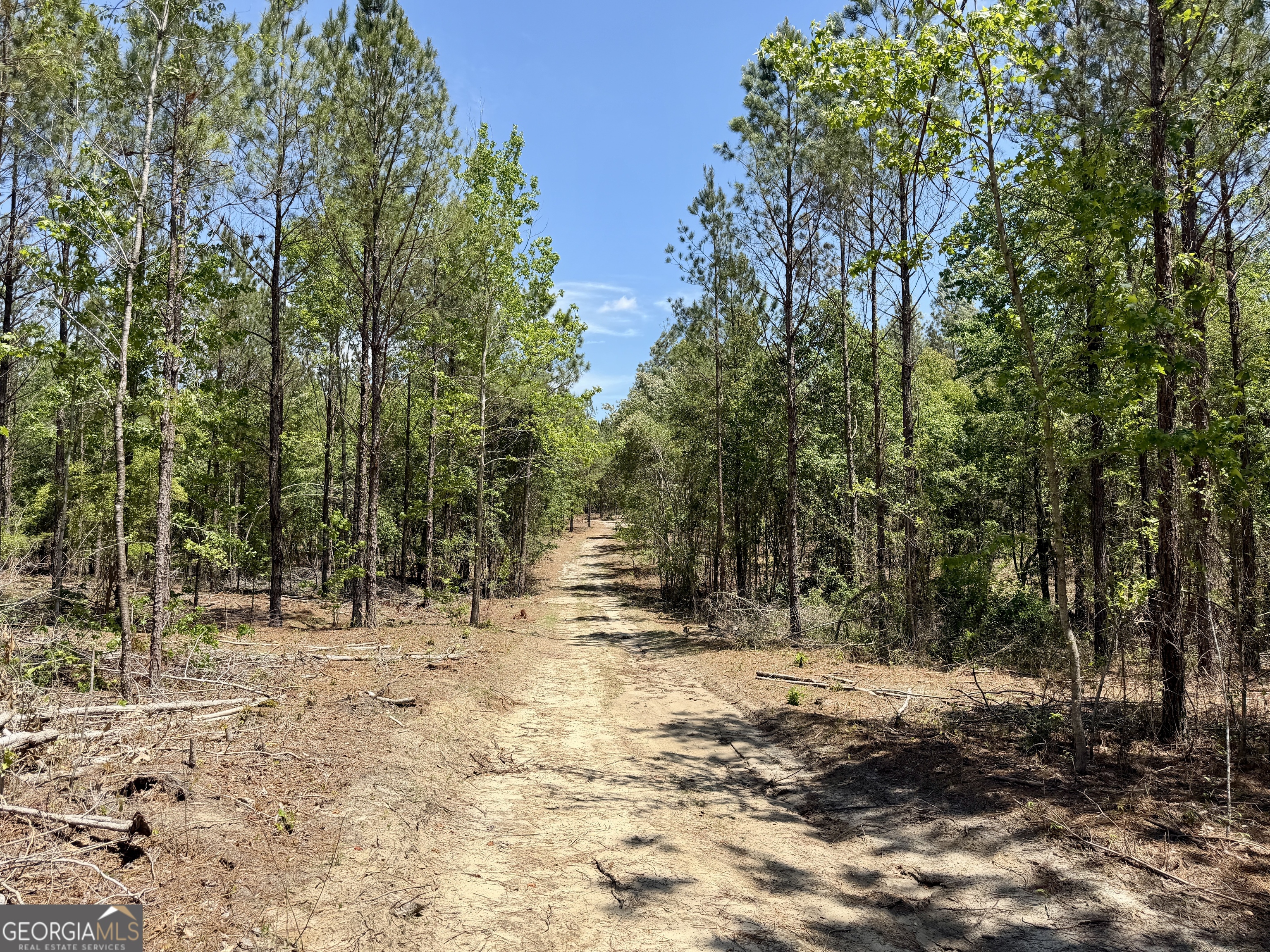 0 Jerry Farmer Road Eastman GA 31023