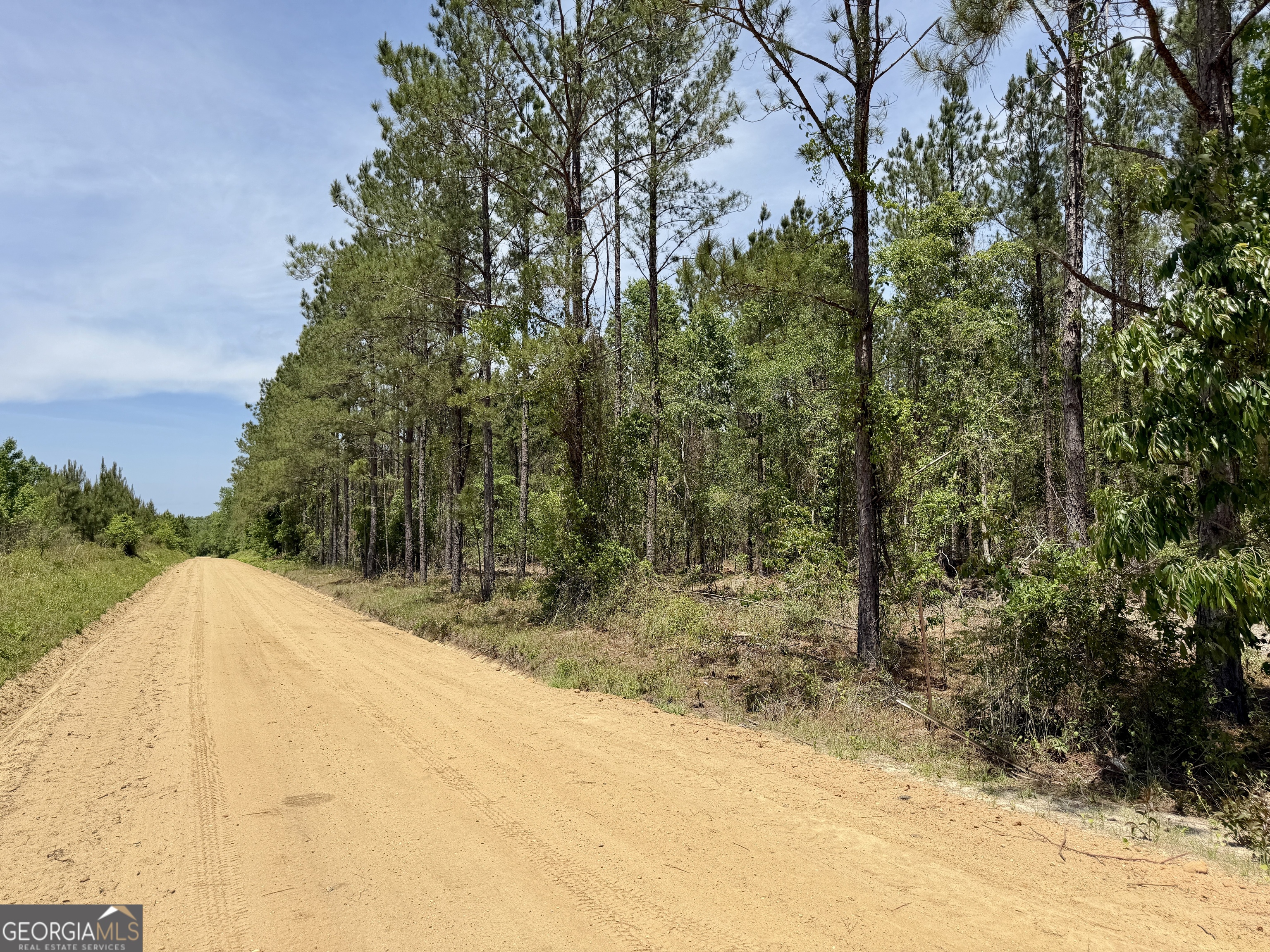 0 Jerry Farmer Road Eastman GA 31023