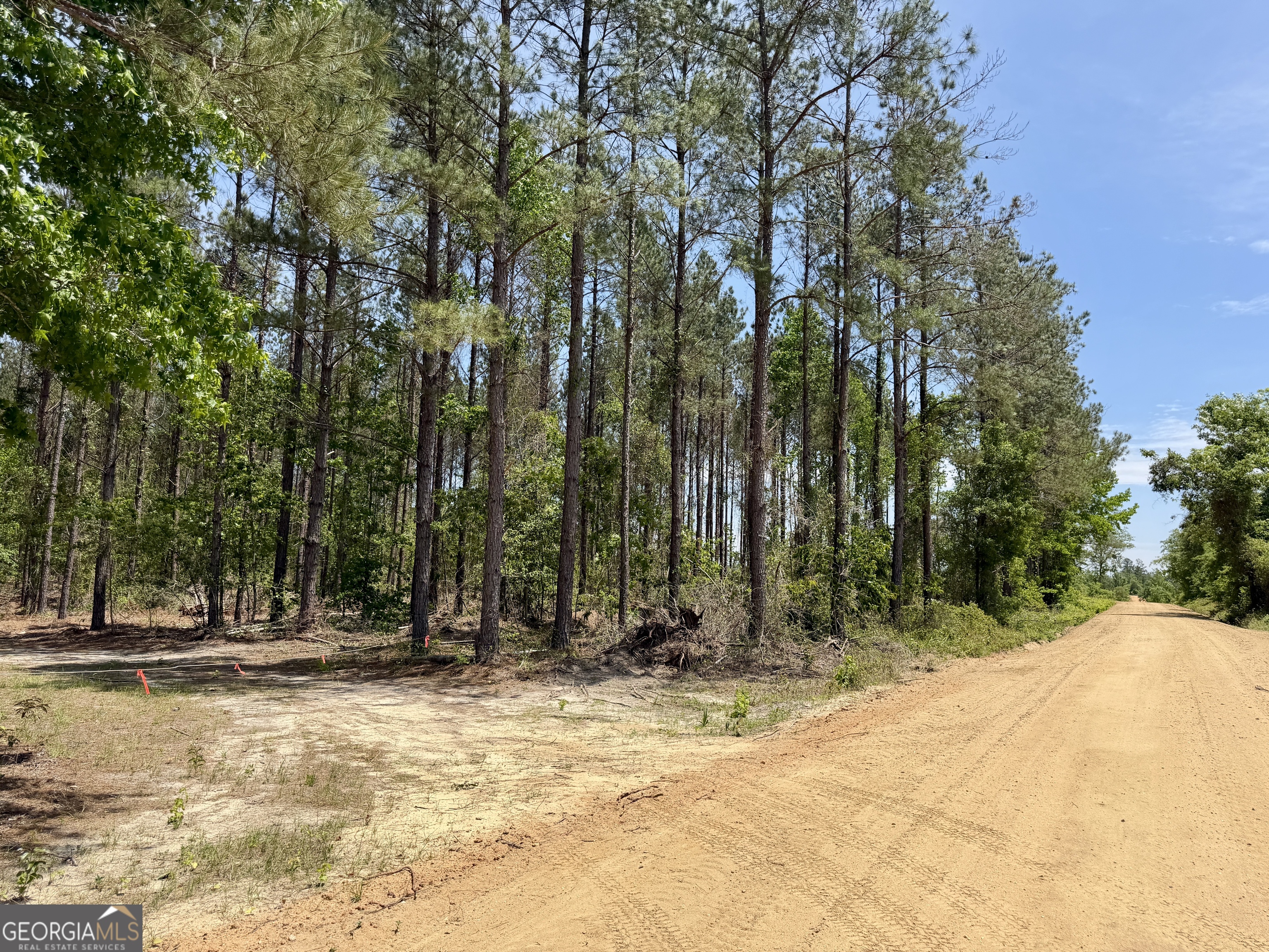 0 Jerry Farmer Road Eastman GA 31023