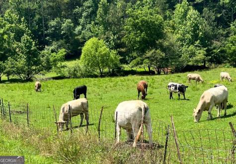 00 Freeman View Trail Cleveland GA 30528