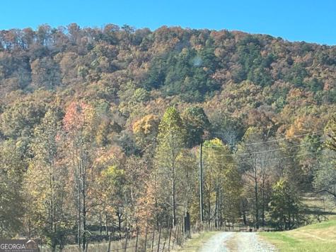 00 Freeman View Trail Cleveland GA 30528