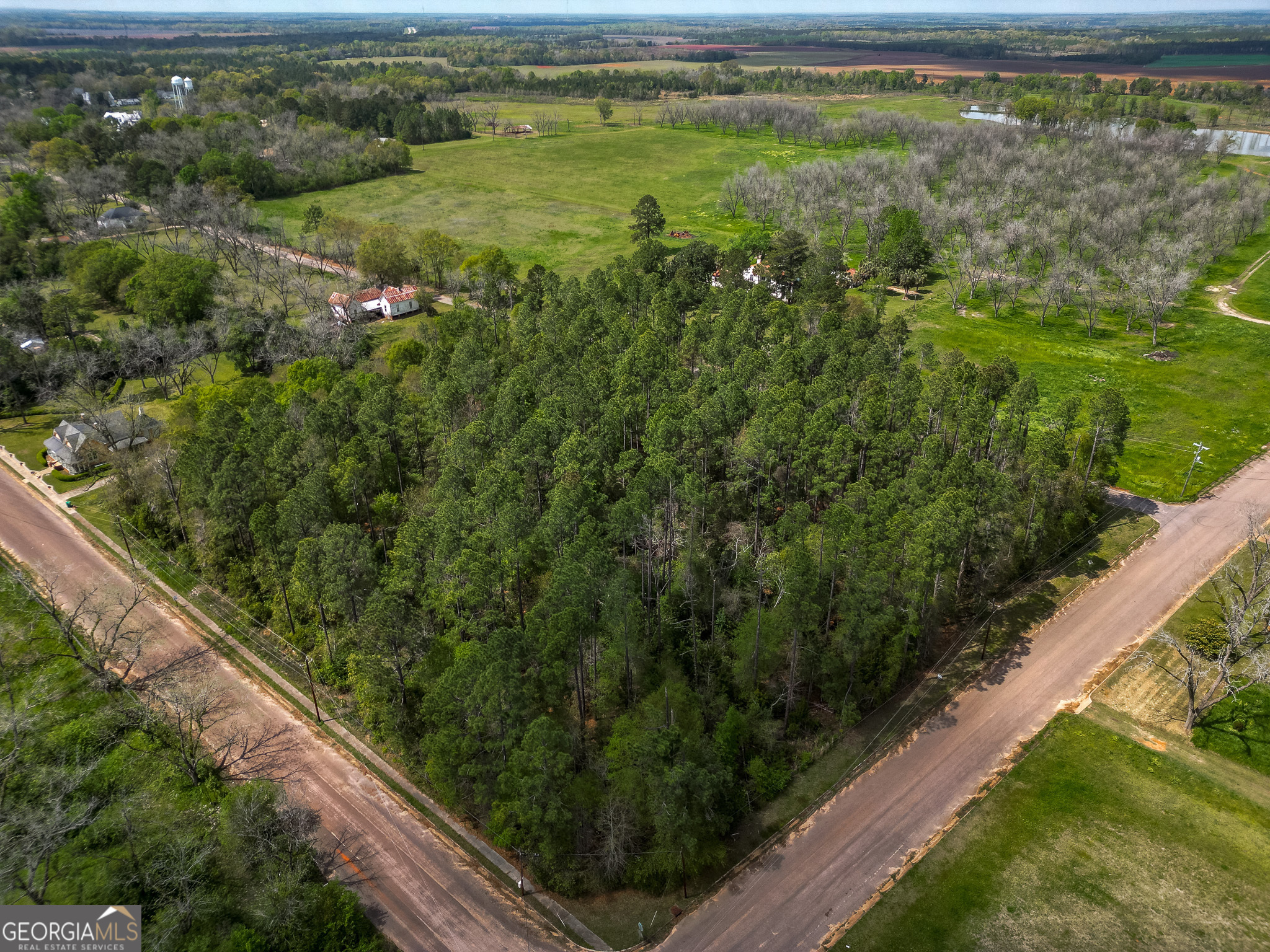 109 Main Street Parrott GA 39877