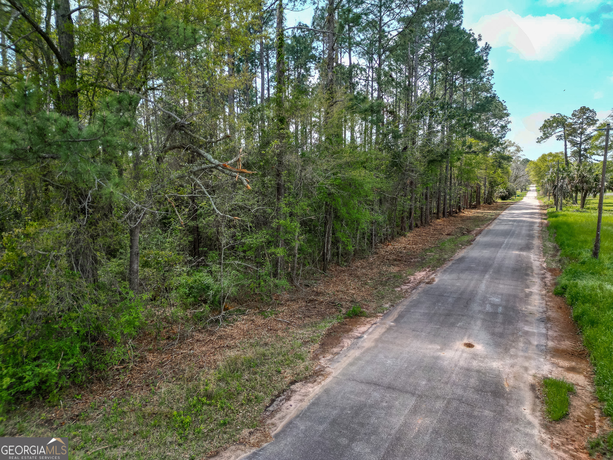 109 Main Street Parrott GA 39877