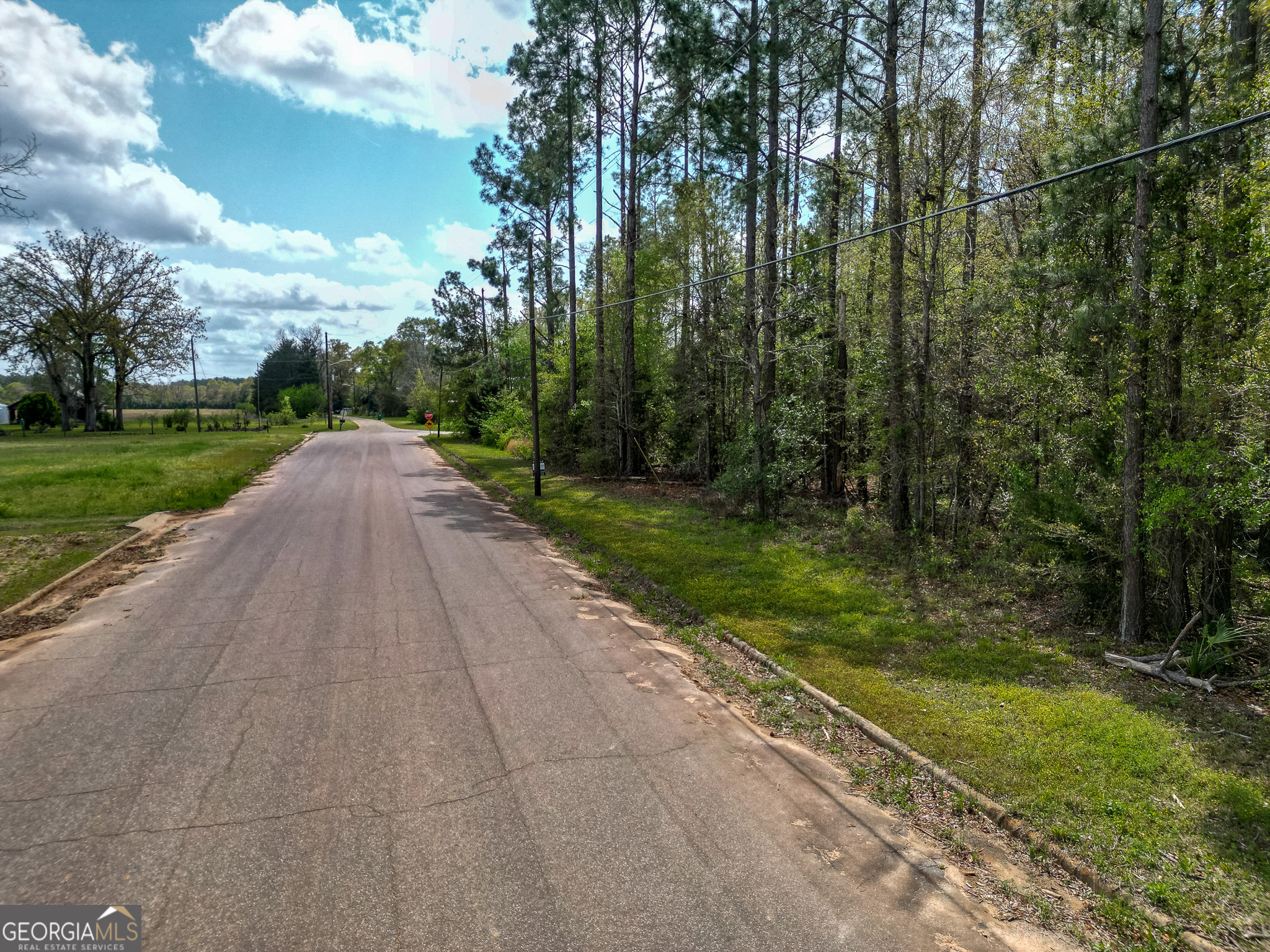 109 Main Street Parrott GA 39877