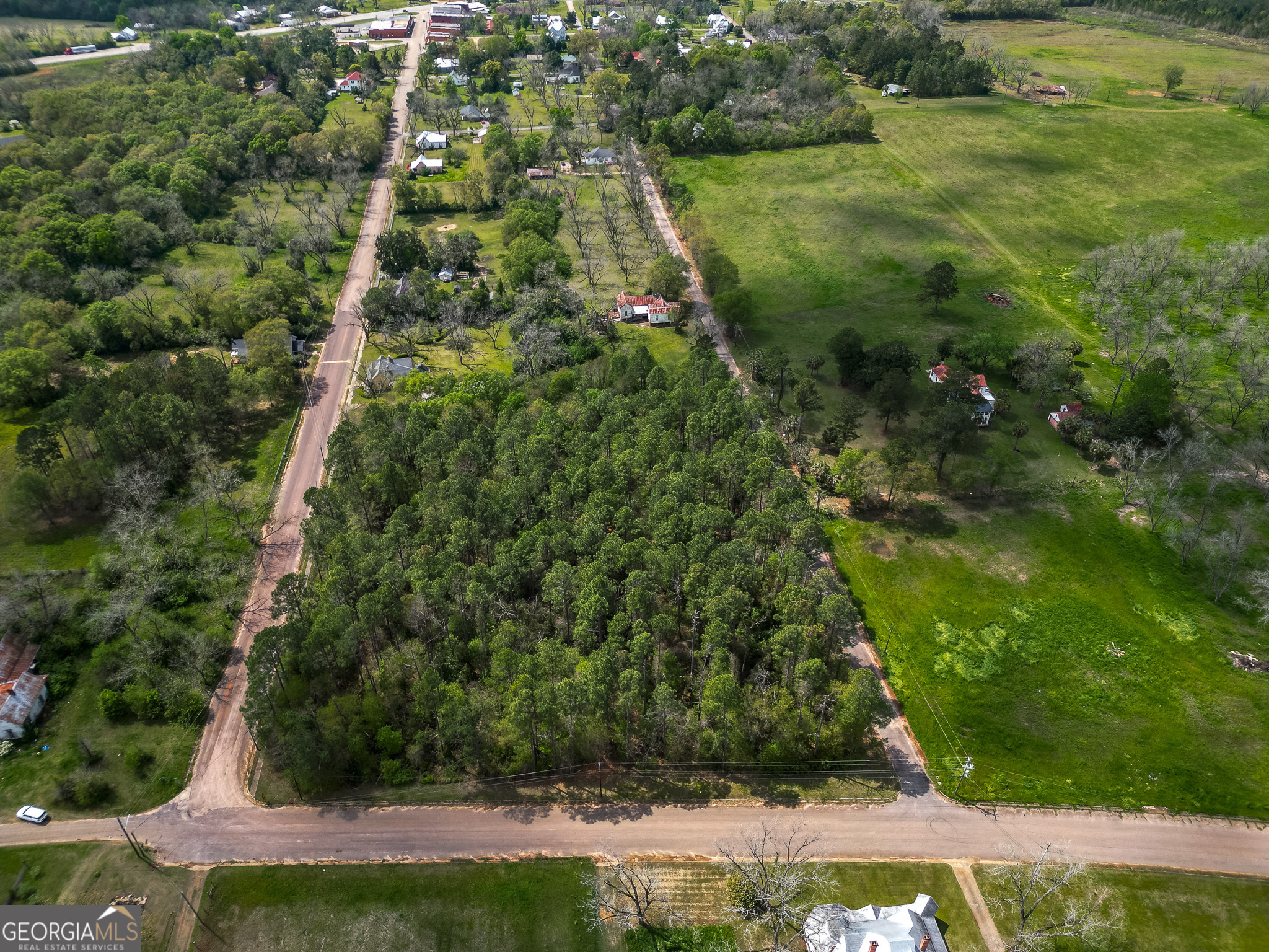 109 Main Street Parrott GA 39877