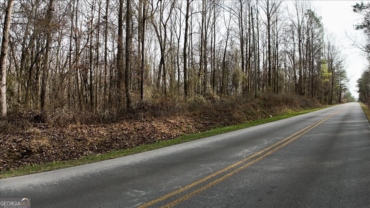 0 Swan Bridge Road Talking Rock GA 30175